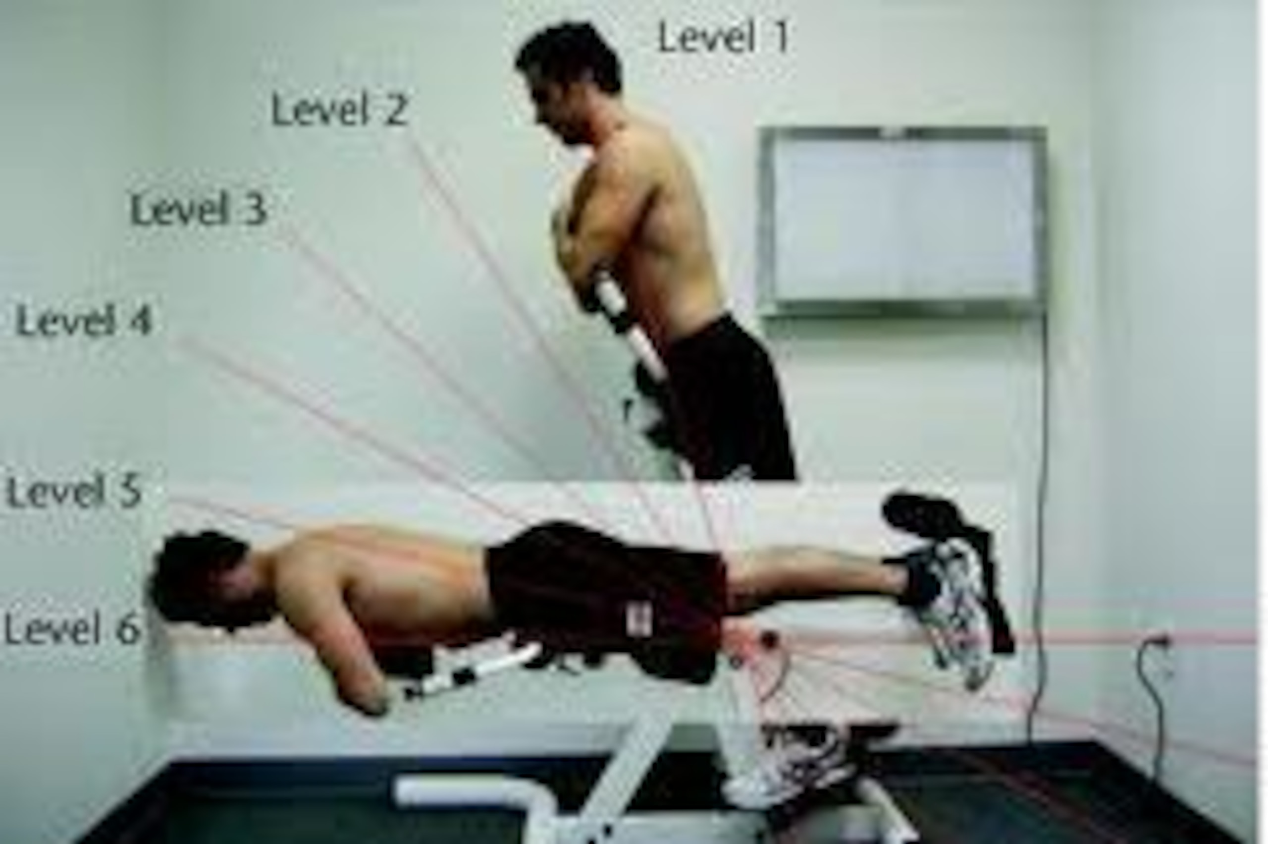 Variable-angle Roman chair. Levels of difficulty of the Roman chair, from easiest (level 1) to most difï¬cult (level 6).