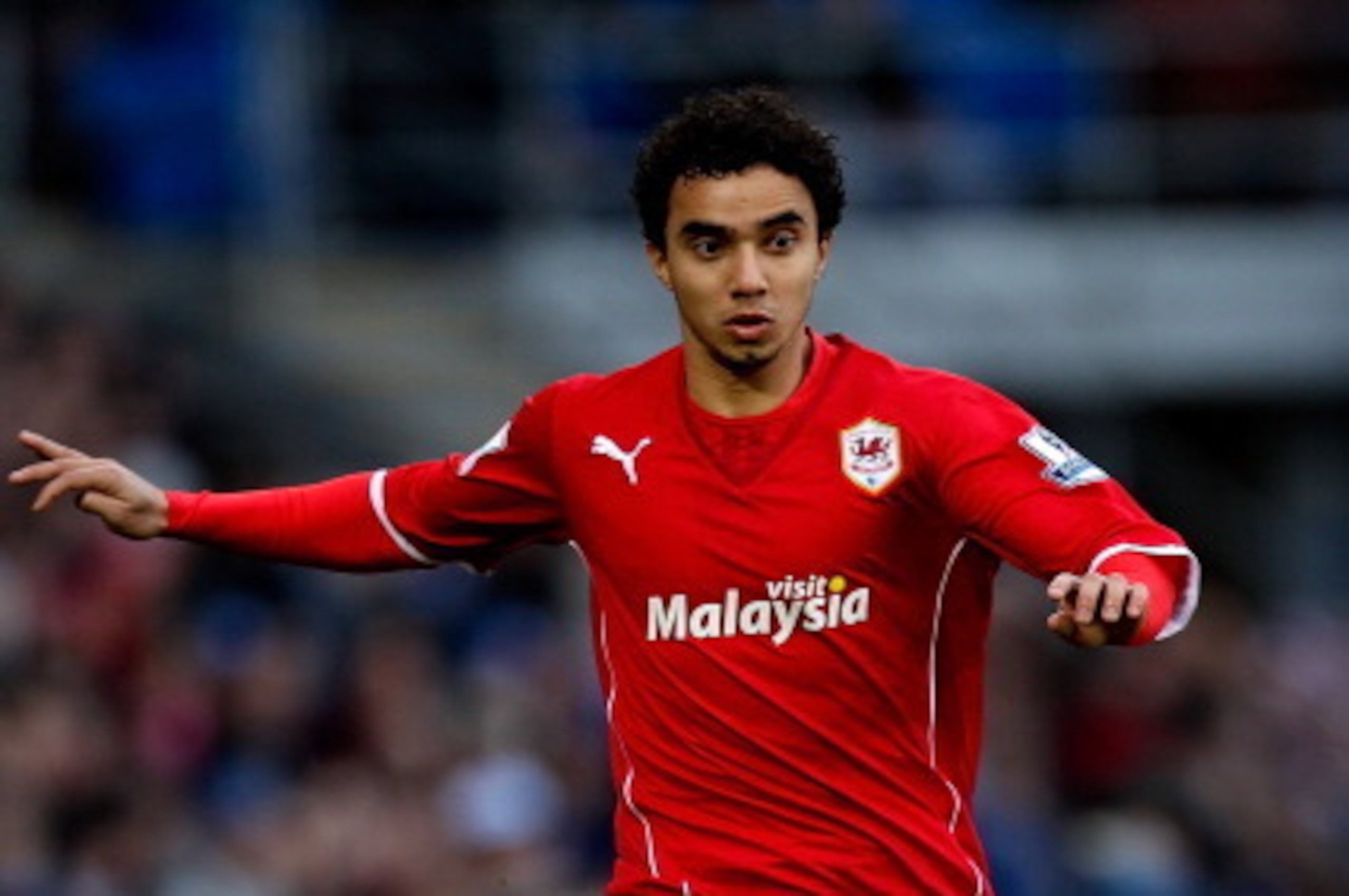 CARDIFF, WALES - FEBRUARY 01:  Fabio da Silva of Cardiff in action during the Barclays Premier League match between Cardiff City and Norwich City at Cardiff City Stadium on February 1, 2014 in Cardiff, Wales.  (Photo by Ben Hoskins/Getty Images)