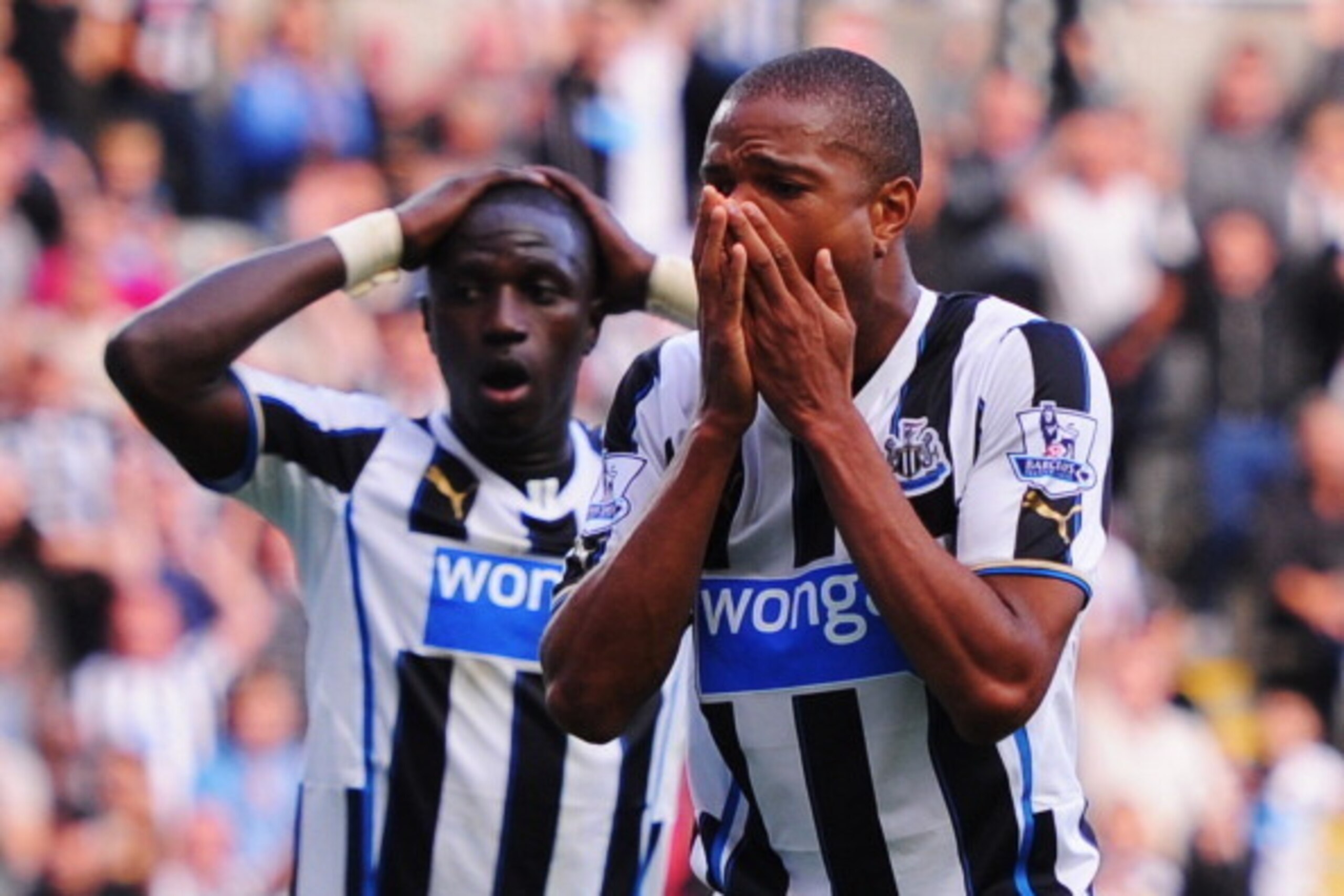 NEWCASTLE UPON TYNE, ENGLAND - SEPTEMBER 21:  Moussa Sissoko (L) and Loic Remy (R) of Newcastle United react during the Barclays Premier League match between Newcastle United and Hull City at St James' Park on September 21, 2013 in Newcastle upon Tyne, En
