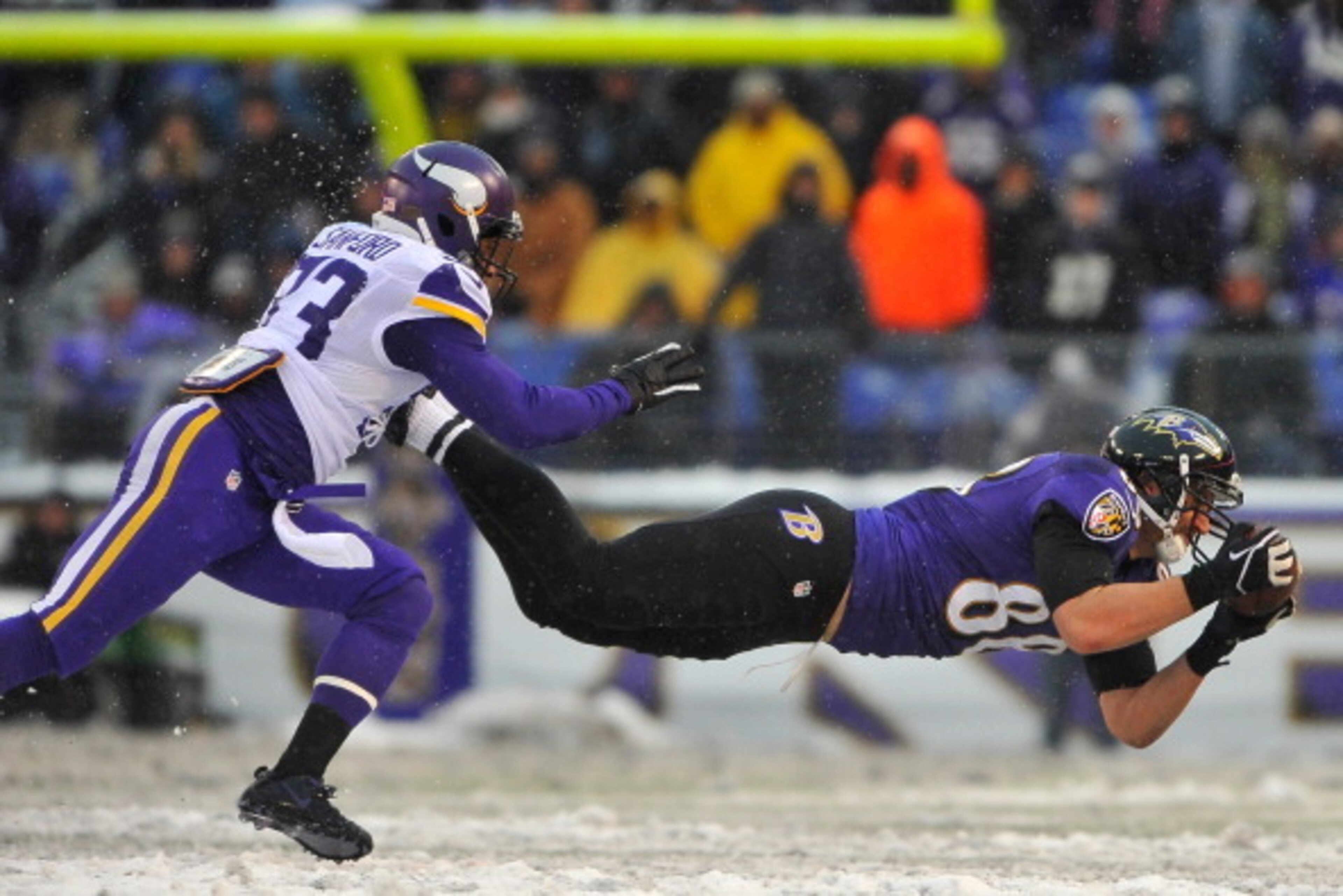 BALTIMORE, MD - DECEMBER 08:  Tight end Dennis Pitta #88 of the Baltimore Ravens makes a catch during the game against the Minnesota Vikings at M&T Bank Stadium on December 8, 2013 in Baltimore, Maryland. The Ravens defeated the Vikings 29-26.  (Photo by 