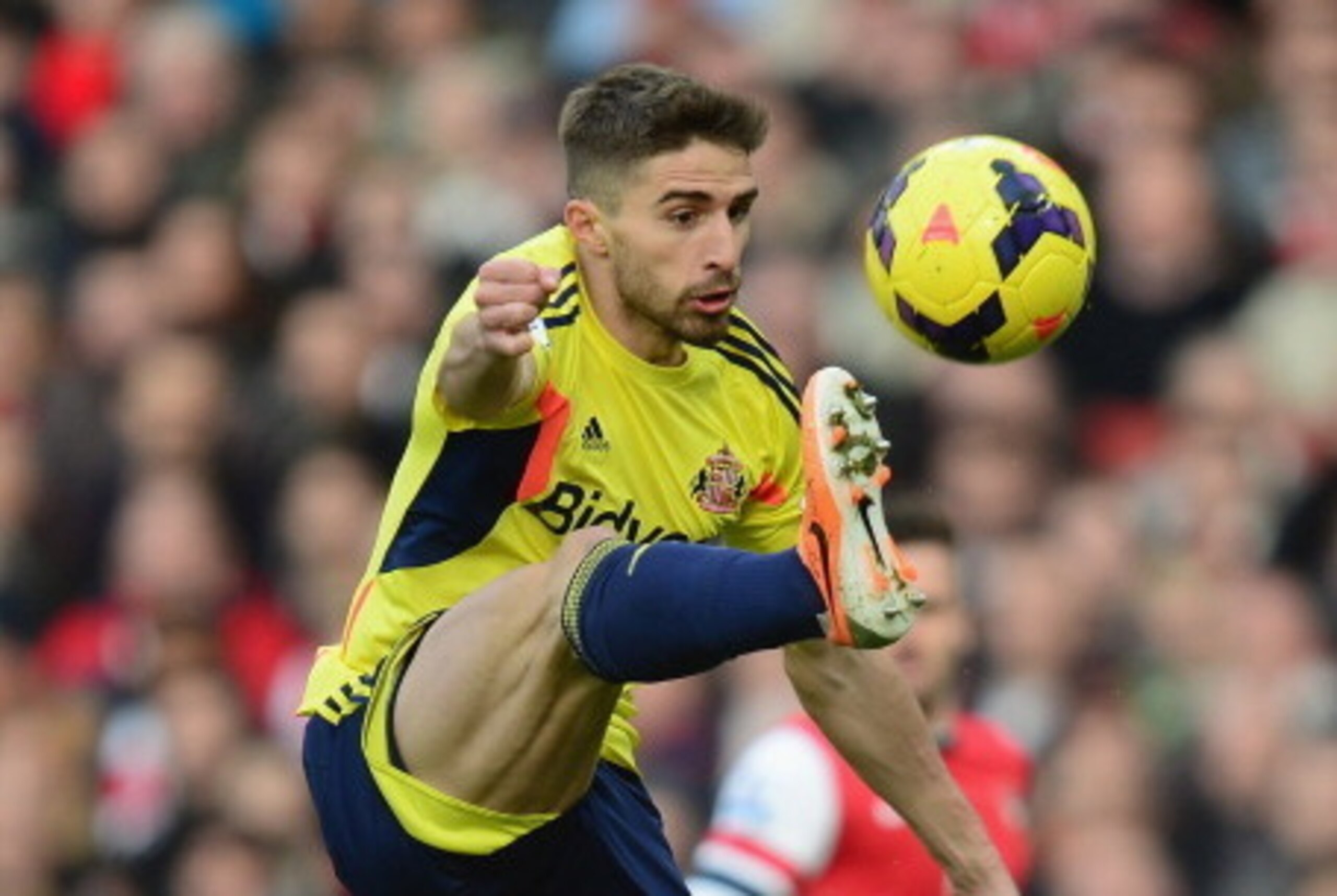 LONDON, ENGLAND - FEBRUARY 22:  Fabio Borini of Sunderland in action during the Barclays Premier League match between Arsenal and Sunderland at Emirates Stadium on February 22, 2014 in London, England.  (Photo by Jamie McDonald/Getty Images)