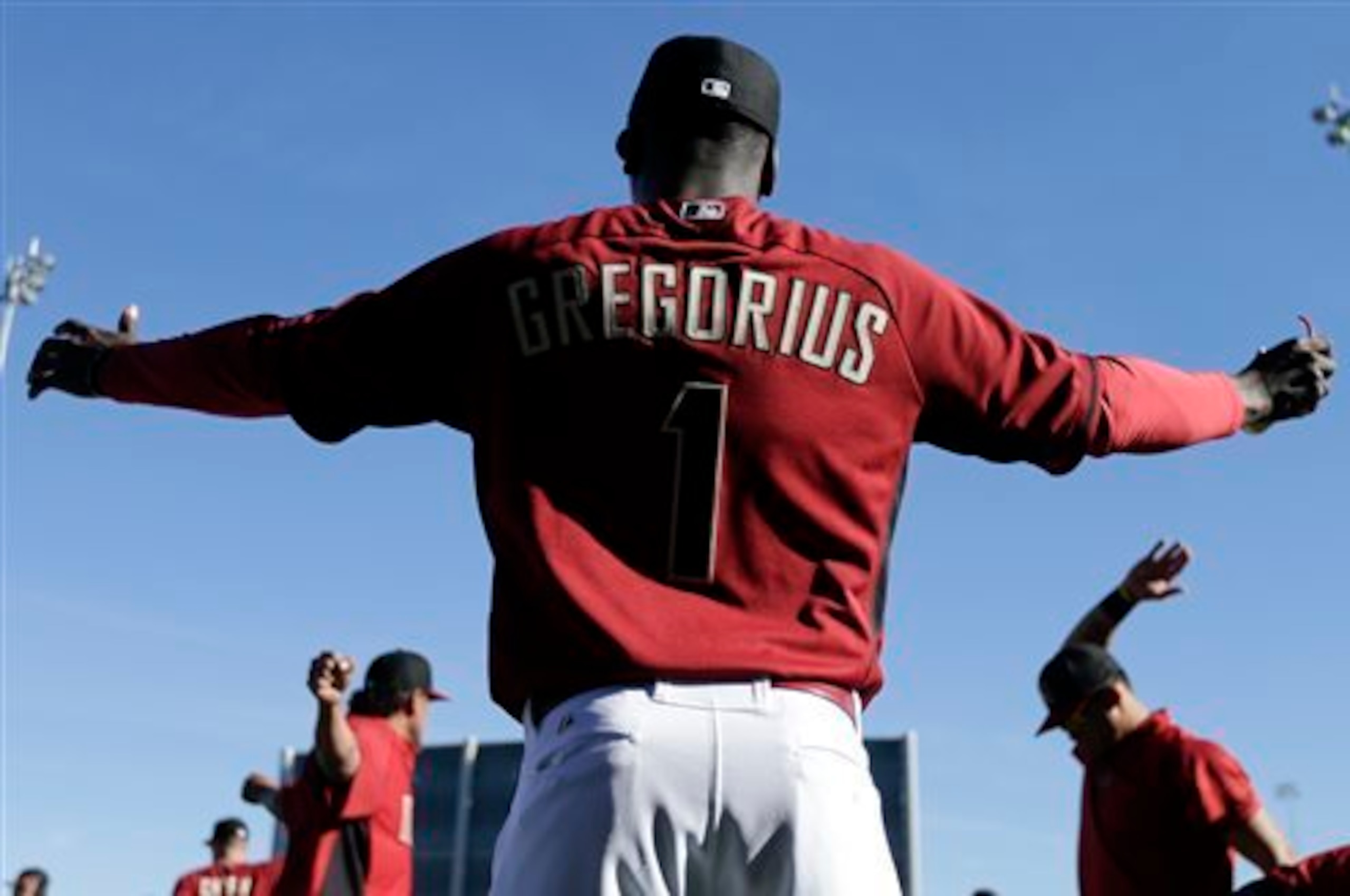 Didi Gregorius is looking to become a household name in the MLB this season.