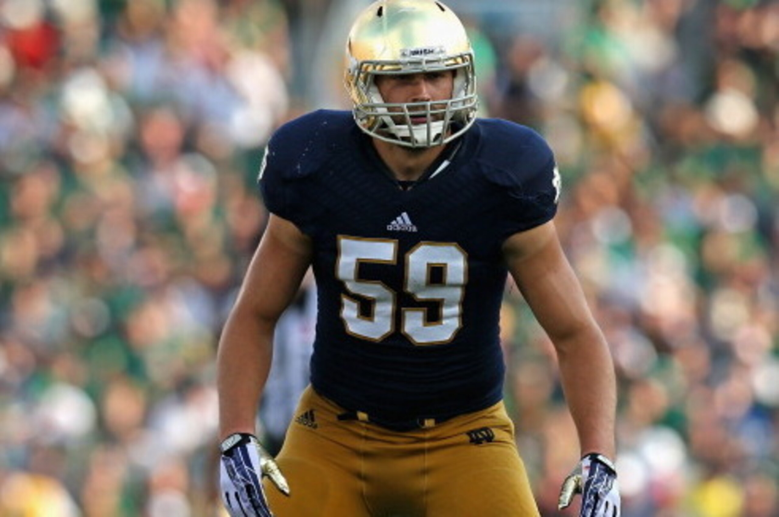 SOUTH BEND, IN - AUGUST 31: Jarrett Grace #59 of the Notre Dame Fighting Irish awaits the snap against the Temple Owls at Notre Dame Stadium on August 31, 2013 in South Bend, Indiana. Notre Dame defeated Temple 28-6. (Photo by Jonathan Daniel/Getty Images