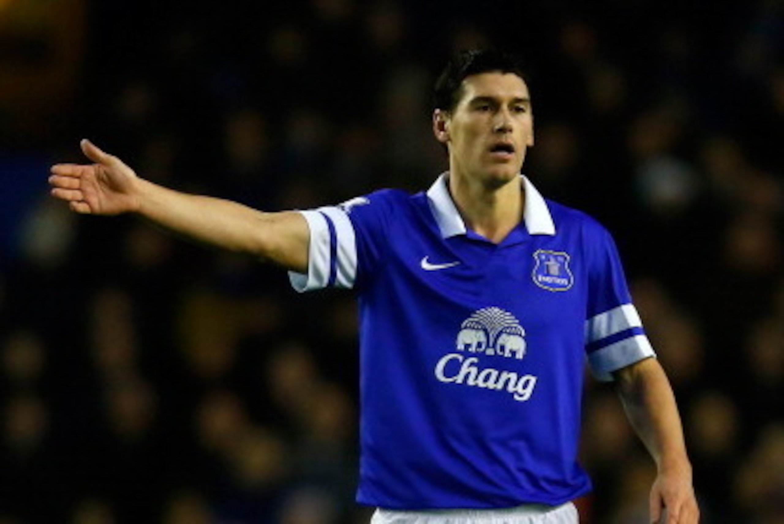 LIVERPOOL, ENGLAND - DECEMBER 26: Gareth Barry of Everton in action during the Barclays Premier League match between Everton and Sunderland at Goodison Park on December 26, 2013 in Liverpool, England. (Photo by Paul Thomas/Getty Images)