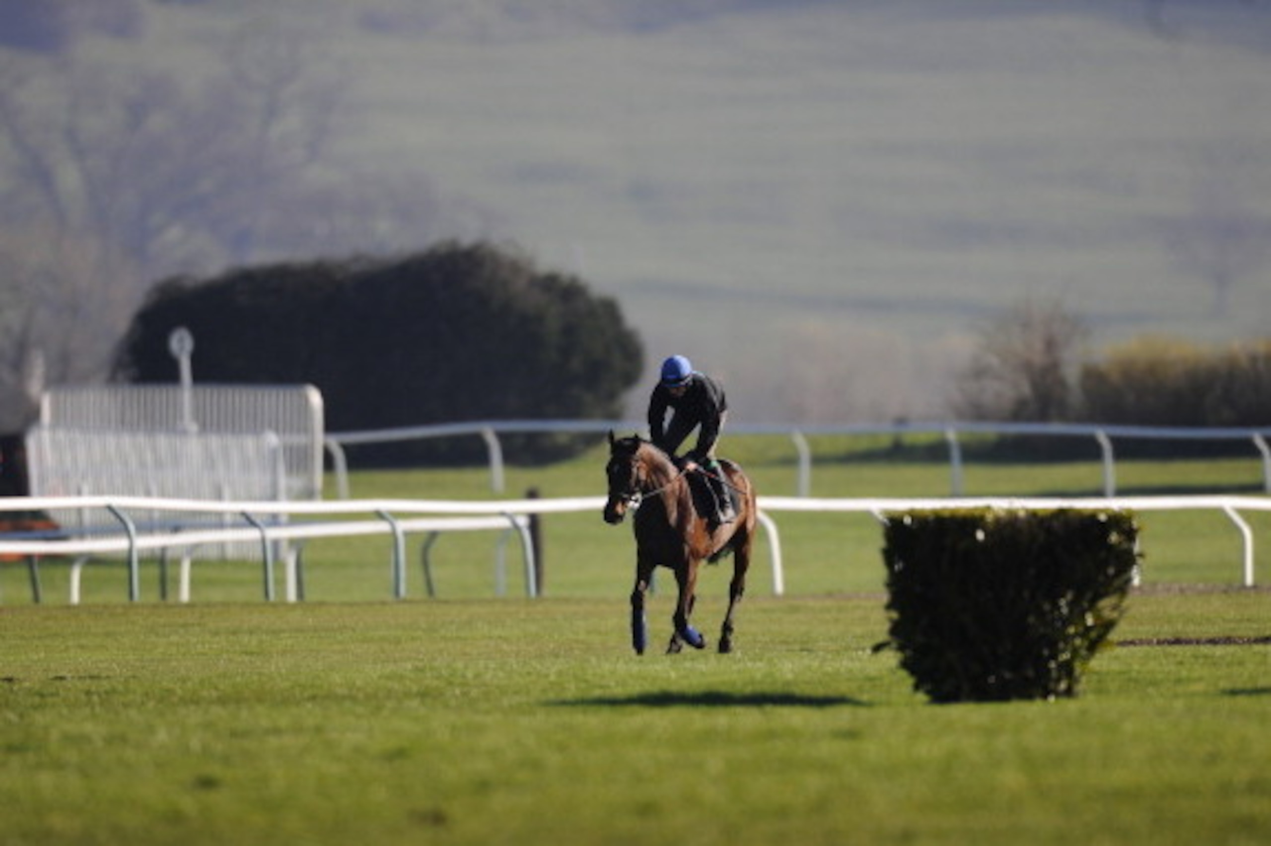 CHELTENHAM, ENGLAND - MARCH 09: Jack Madden riding Hurricane Fly on the gallops at Cheltenham racecourse on March 09, 2014 in Cheltenham, England. (Photo by Alan Crowhurst/Getty Images)