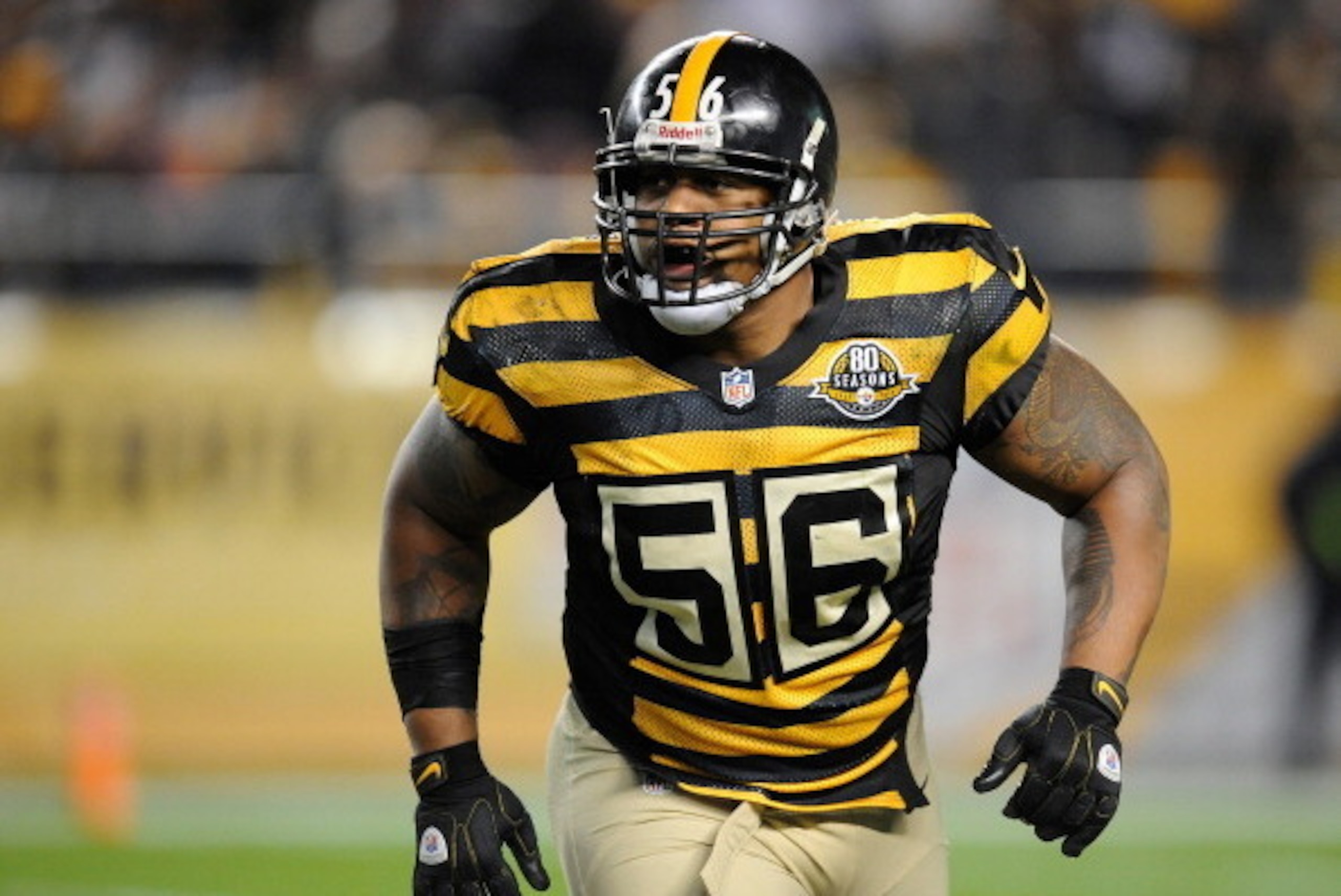 PITTSBURGH, PA - NOVEMBER 18 :  LaMarr Woodley #56 of the Pittsburgh Steelers looks downfield against the Baltimore Ravens on November 18, 2012 at Heinz Field in Pittsburgh, Pennsylvania.  (Photo by Joe Sargent/Getty Images)