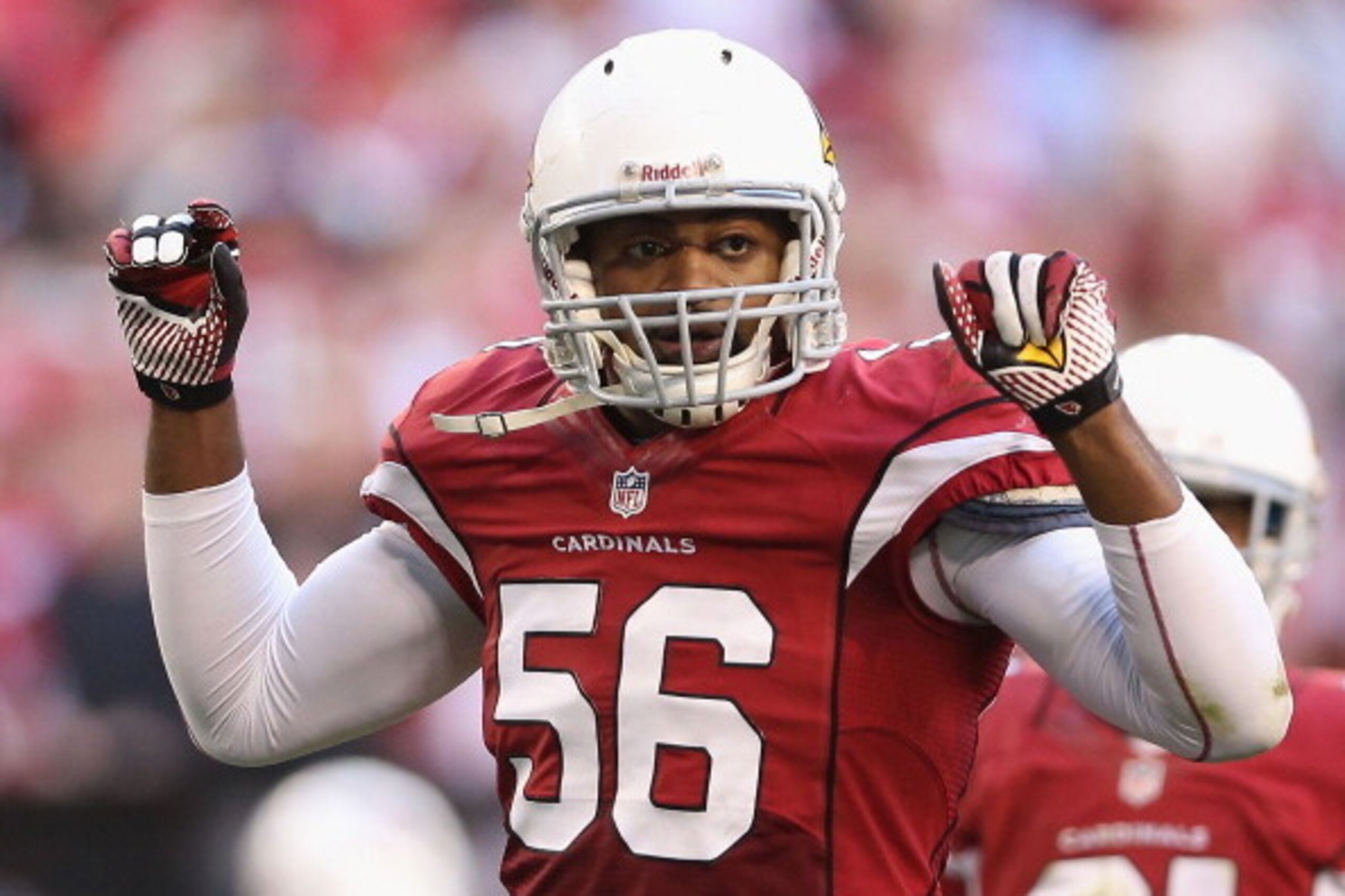 GLENDALE, AZ - DECEMBER 29:  Inside linebacker Karlos Dansby #56 of the Arizona Cardinals during the NFL game against the San Francisco 49ers at the University of Phoenix Stadium on December 29, 2013 in Glendale, Arizona.  The 49ers defeated the Cardinals