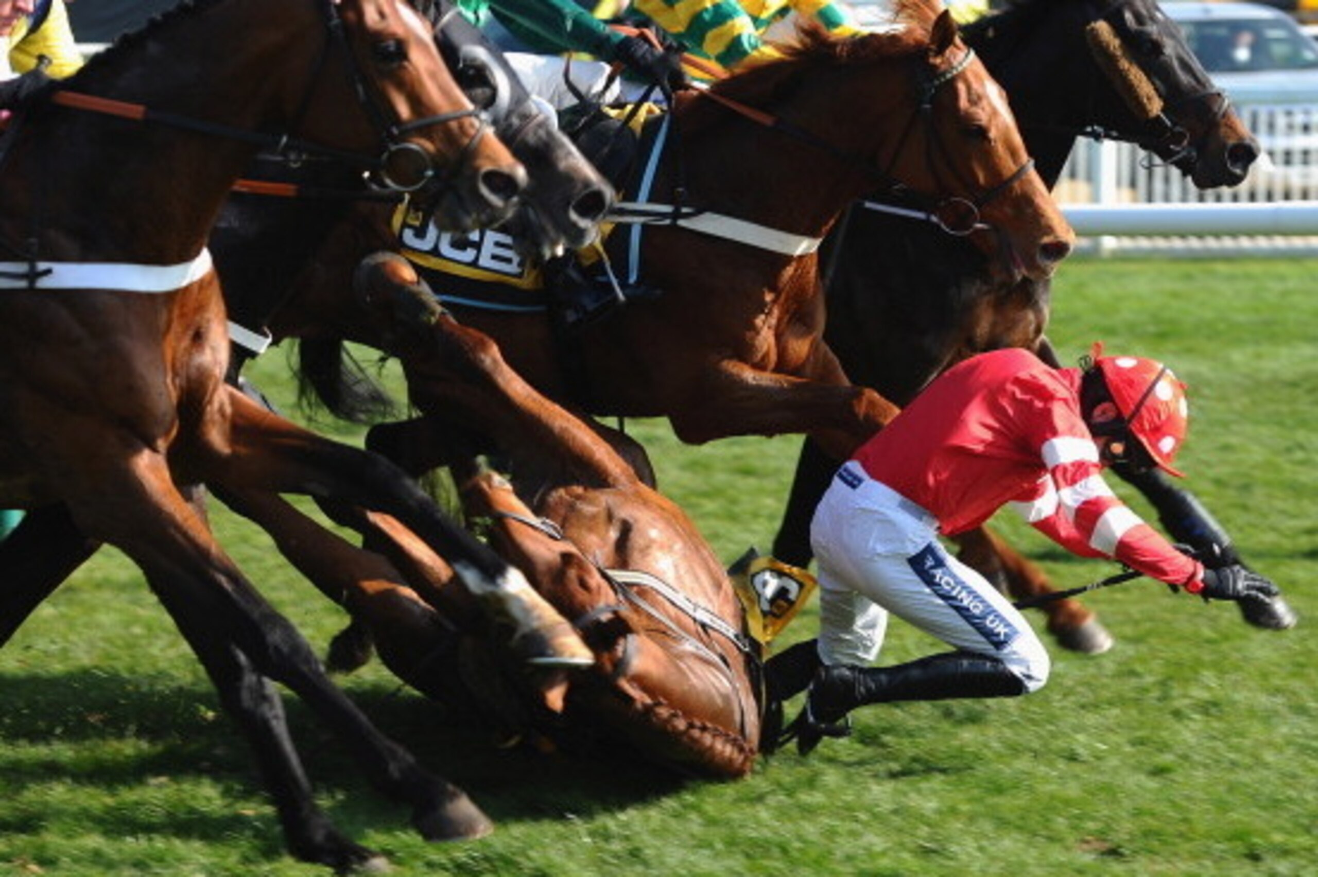 CHELTENHAM, ENGLAND - MARCH 14:  Ruby Walsh on Abbyssial falls in the JCB Triumph Hurdle during the Cheltenham Festival at Cheltenham Racecourse on March 14, 2014 in Cheltenham, England.  (Photo by Mike Hewitt/Getty Images)