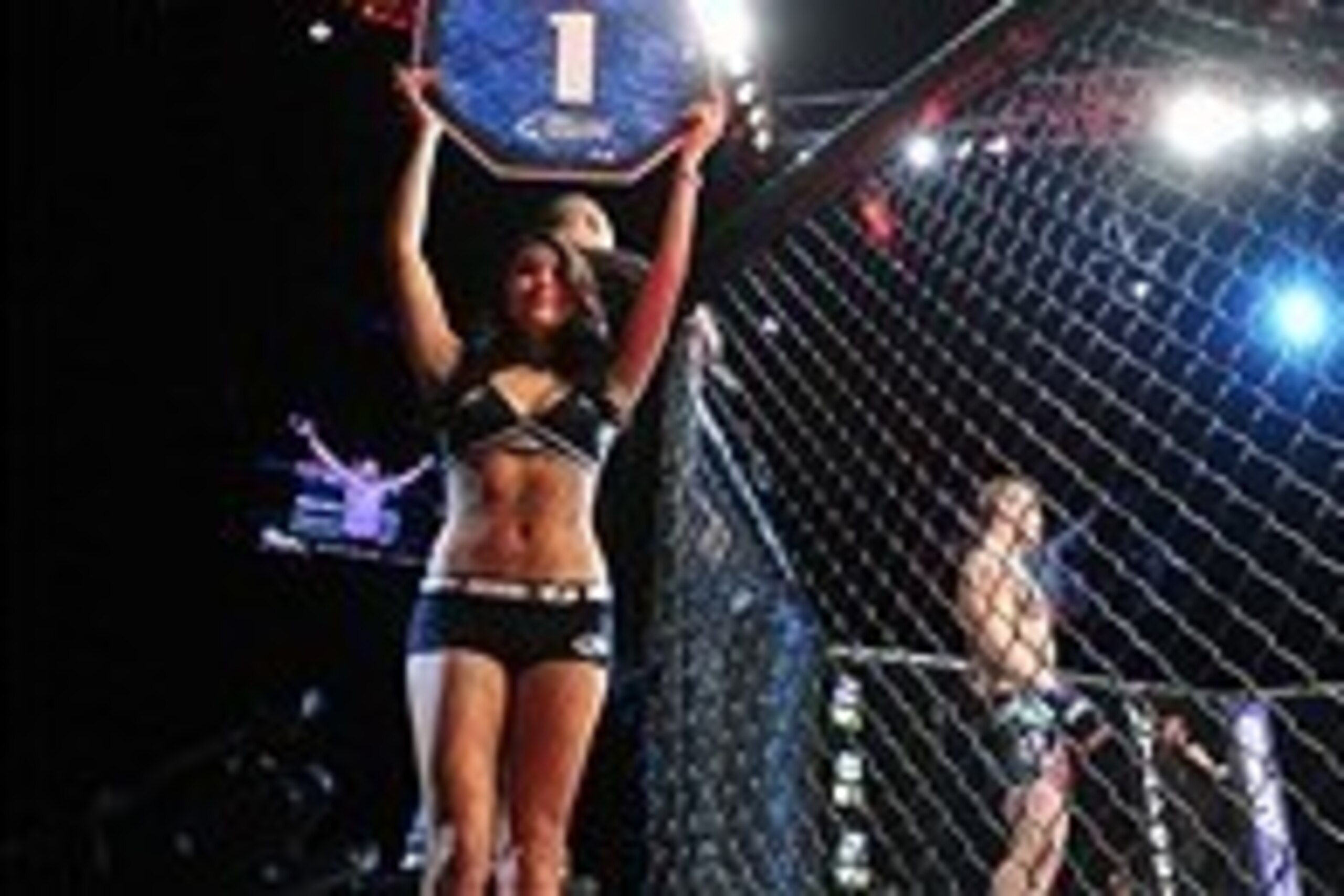 Dec 29, 2012; Las Vegas, NV, USA; Arianny Celeste during UFC 155 at the MGM Grand Garden Arena. Mandatory Credit: Gary A. Vasquez-USA TODAY Sports