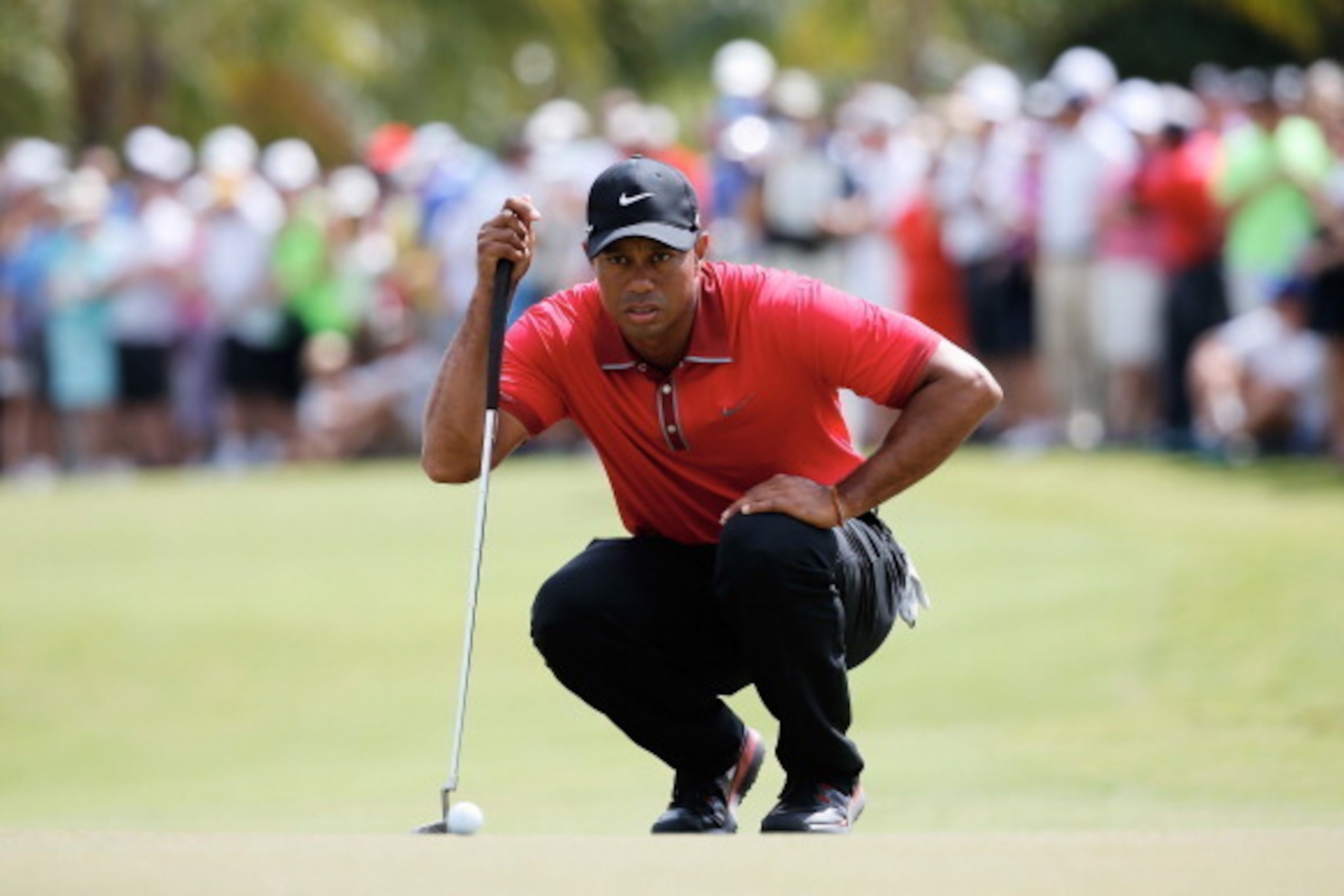 DORAL, FL - MARCH 09:  Tiger Woods lines up a putt on the first green during the final round of the World Golf Championships-Cadillac Championship at Trump National Doral on March 9, 2014 in Doral, Florida.  (Photo by Chris Trotman/Getty Images)