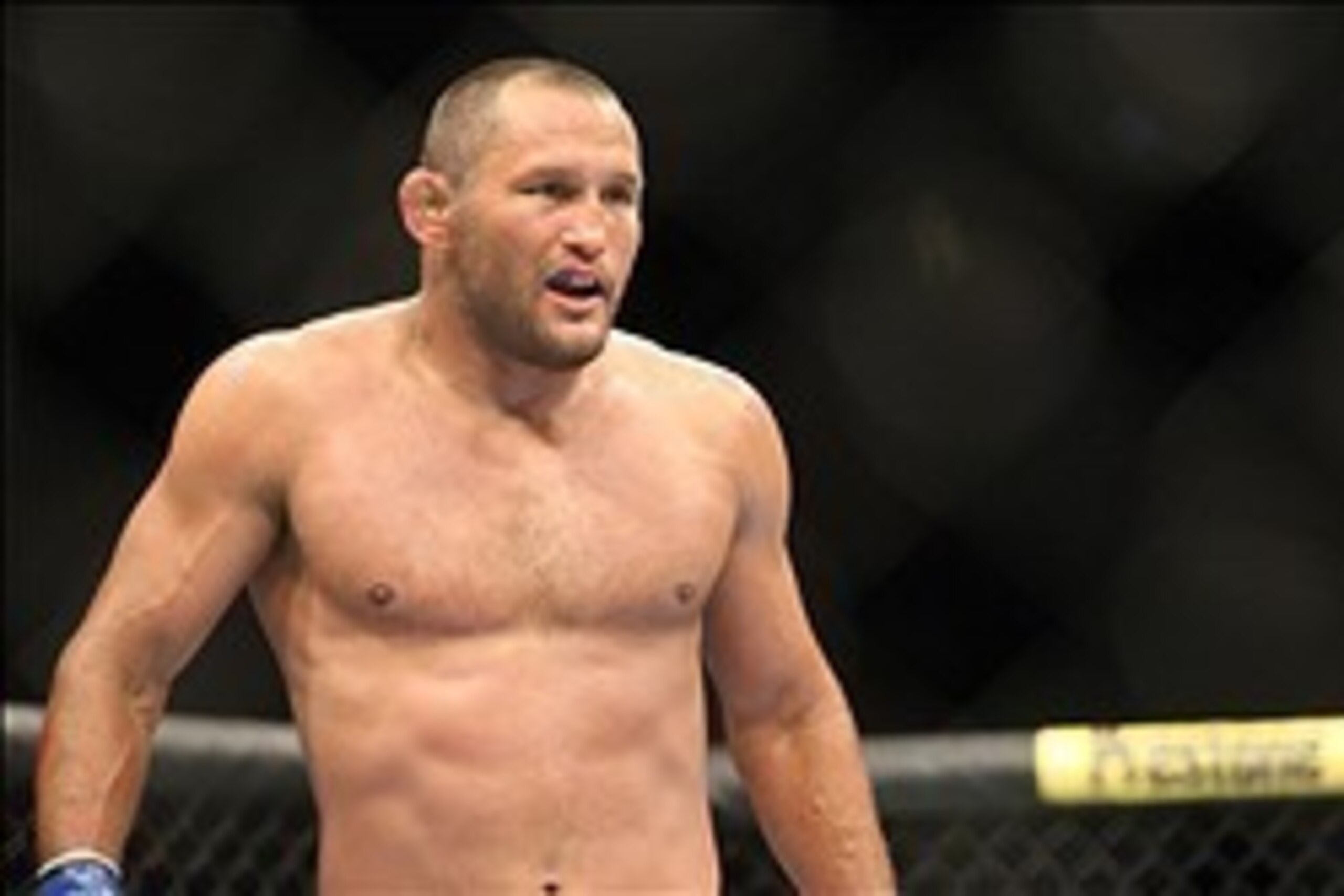 June 15, 2013; Winnipeg, Manitoba, CAN; light heavyweight  Dan Henderson during the fight against Rashad Evans (not pictured) during UFC 161 at the MTS Center. Mandatory Credit: Bruce Fedyck-USA TODAY Sports