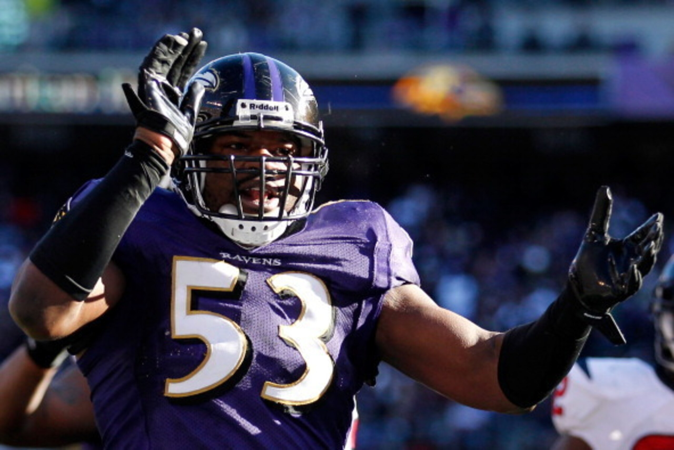 BALTIMORE, MD - JANUARY 15: Jameel McClain #53 of the Baltimore Ravens reacts while playing against the Houston Texans during the AFC Divisional playoff game at M&T Bank Stadium on January 15, 2012 in Baltimore, Maryland. Baltimore won 20-13 in regulatio BALTIMORE, MD - JANUARY 15: Jameel McClain #53 of the Baltimore Ravens reacts while playing against the Houston Texans during the AFC Divisional playoff game at M&T Bank Stadium on January 15, 2012 in Baltimore, Maryland. Baltimore won 20-13 in regulatio
