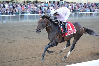 Ron the Greek is the 5-1 second choice in the Dubai World Cup.
