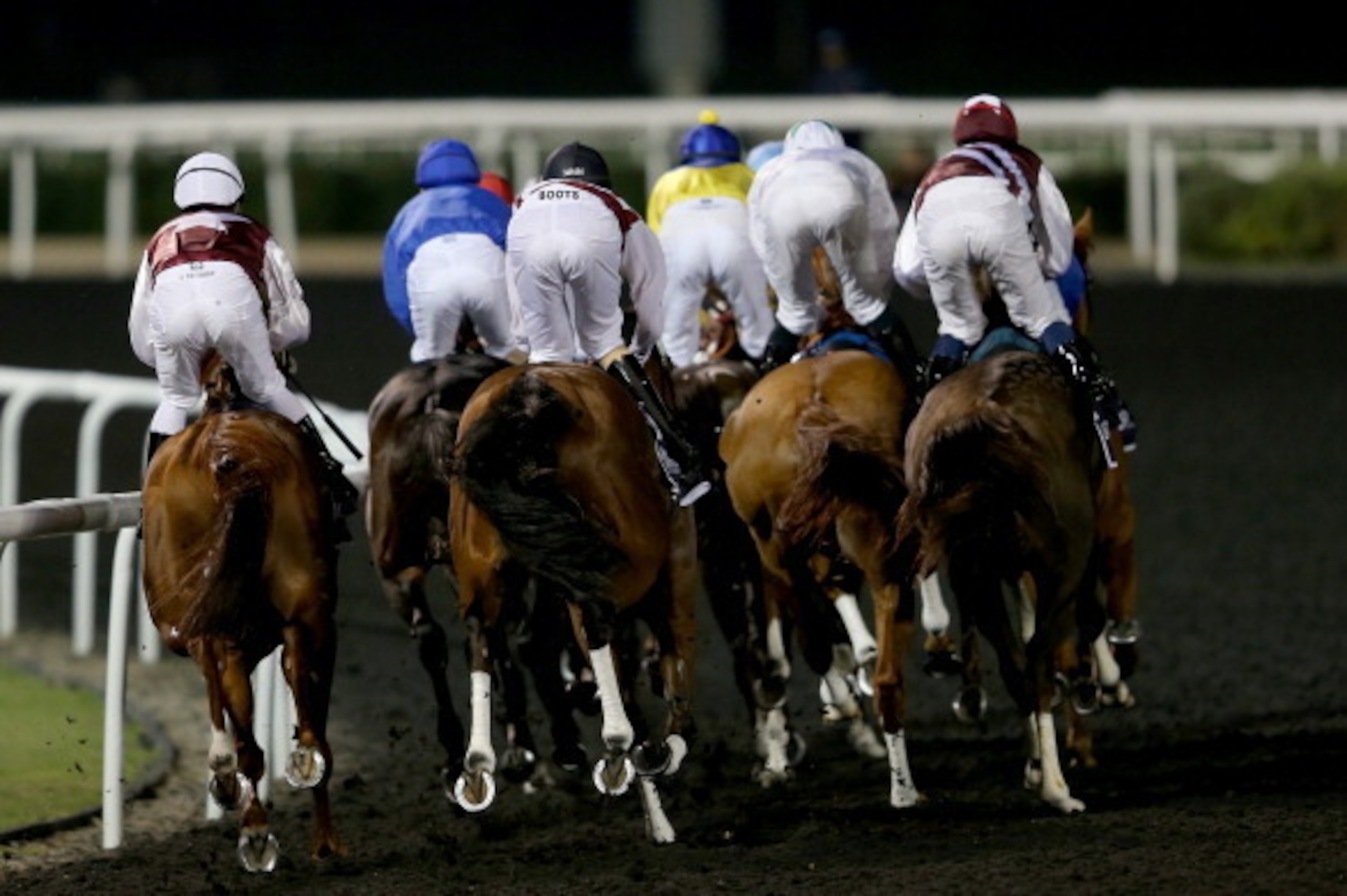 DUBAI, UNITED ARAB EMIRATES - JANUARY 09:  Horses goes around the first bend during the first Longines Carnival Meeting at the Meydan Racecourse on January 9, 2014 in Dubai, United Arab Emirates.  (Photo by Francois Nel/Getty Images)