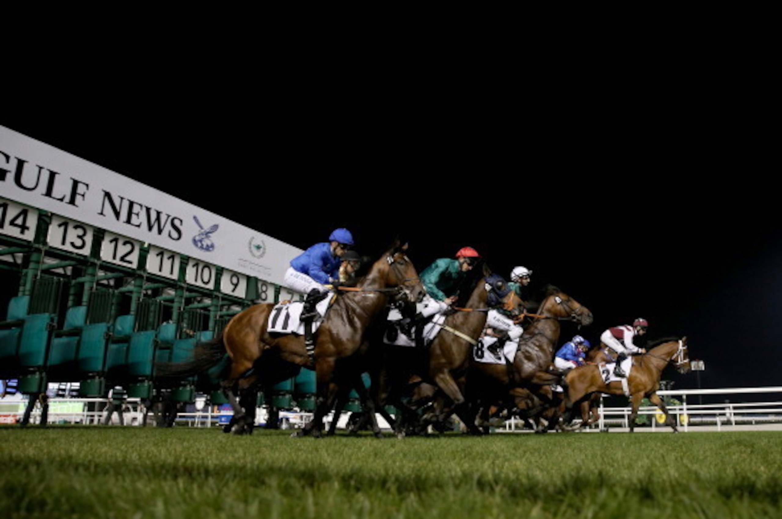 DUBAI, UNITED ARAB EMIRATES - JANUARY 23:  Action from Race 2, GN Focus during the third Dubai World Cup Carnival Meeting at the Meydan Racecourse on January 23, 2014 in Dubai, United Arab Emirates.  (Photo by Francois Nel/Getty Images)