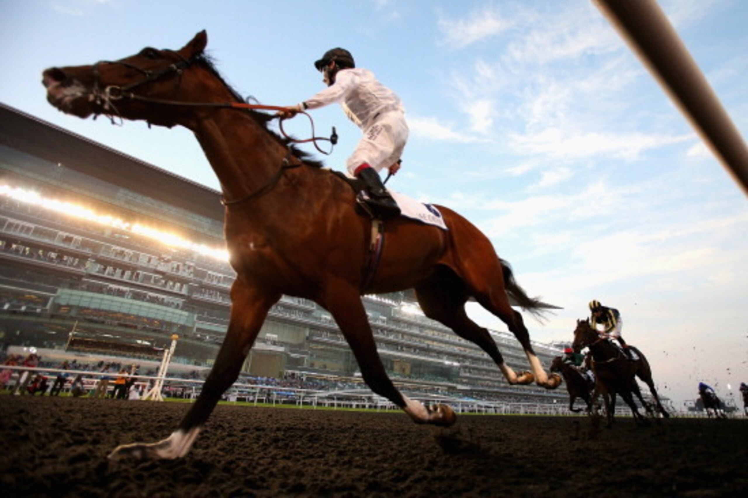 DUBAI, UNITED ARAB EMIRATES - MARCH 29:  Toast of New York ridden by Jamie Spencer wins the UAE Derby during the Dubai World Cup at the Meydan Racecourse on March 29, 2014 in Dubai, United Arab Emirates.  (Photo by Warren Little/Getty Images)