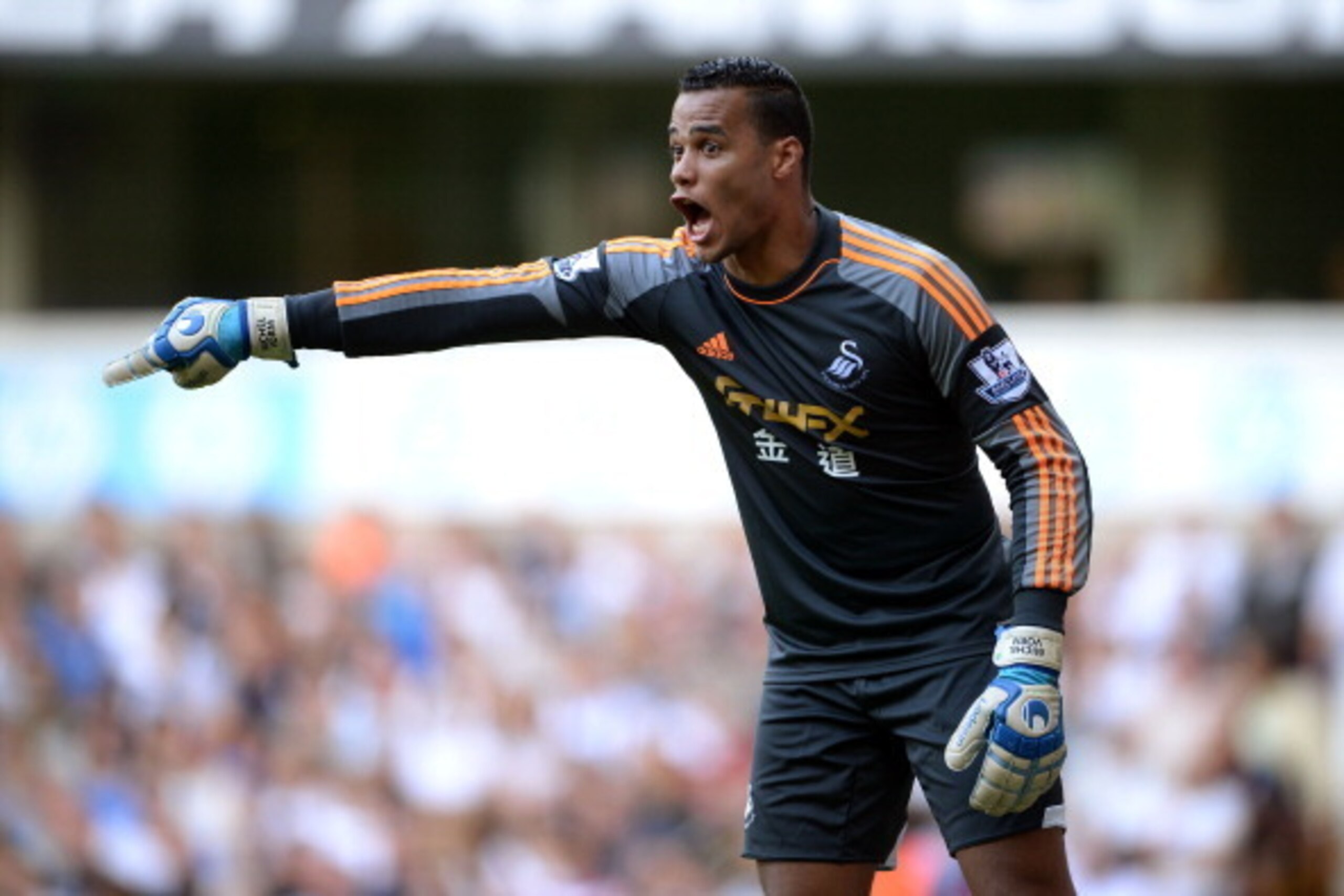 LONDON, ENGLAND - AUGUST 25:  Goalkeeper Michel Vorm of Swansea directs his defence during the Barclays Premier League match between Tottenham Hotspur and Swansea City at White Hart Lane on August 25, 2013 in London, England.  (Photo by Michael Regan/Gett