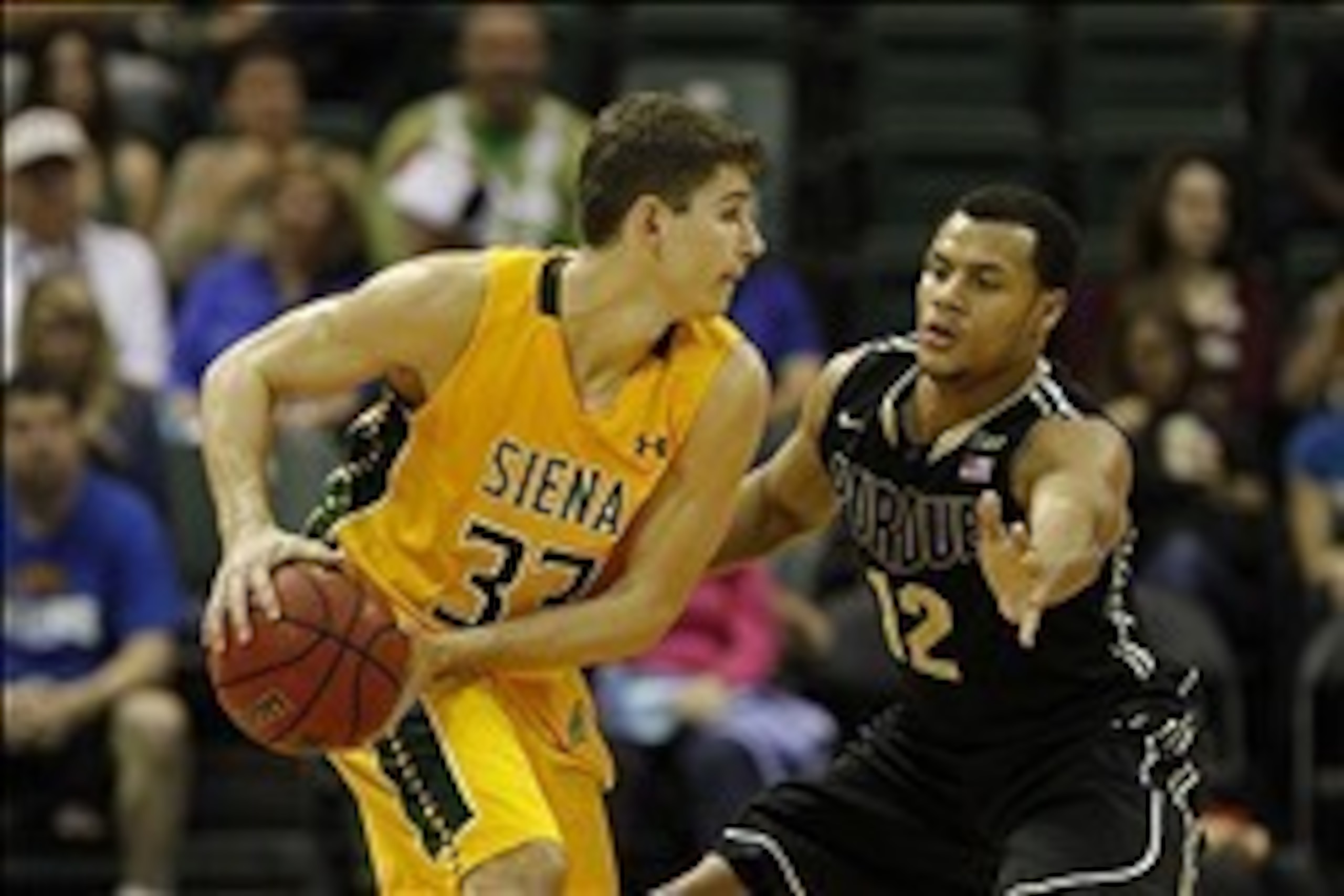 Dec 1, 2013; Orlando, FL, USA; Purdue Boilermakers guard Bryson Scott (12) defends Siena Saints guard Rob Poole (33) during the second half at ESPN Wide World of Sports. Purdue Boilermakers defeated the Siena Saints 68-63. Mandatory Credit: Kim Klement-US Dec 1, 2013; Orlando, FL, USA; Purdue Boilermakers guard Bryson Scott (12) defends Siena Saints guard Rob Poole (33) during the second half at ESPN Wide World of Sports. Purdue Boilermakers defeated the Siena Saints 68-63. Mandatory Credit: Kim Klement-US