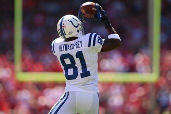 SAN FRANCISCO, CA - SEPTEMBER 22:  Darrius Heyward-Bey #81 of the Indianapolis Colts catches a pass against the San Francisco 49ers at Candlestick Park on September 22, 2013 in San Francisco, California.  (Photo by Jed Jacobsohn/Getty Images)
