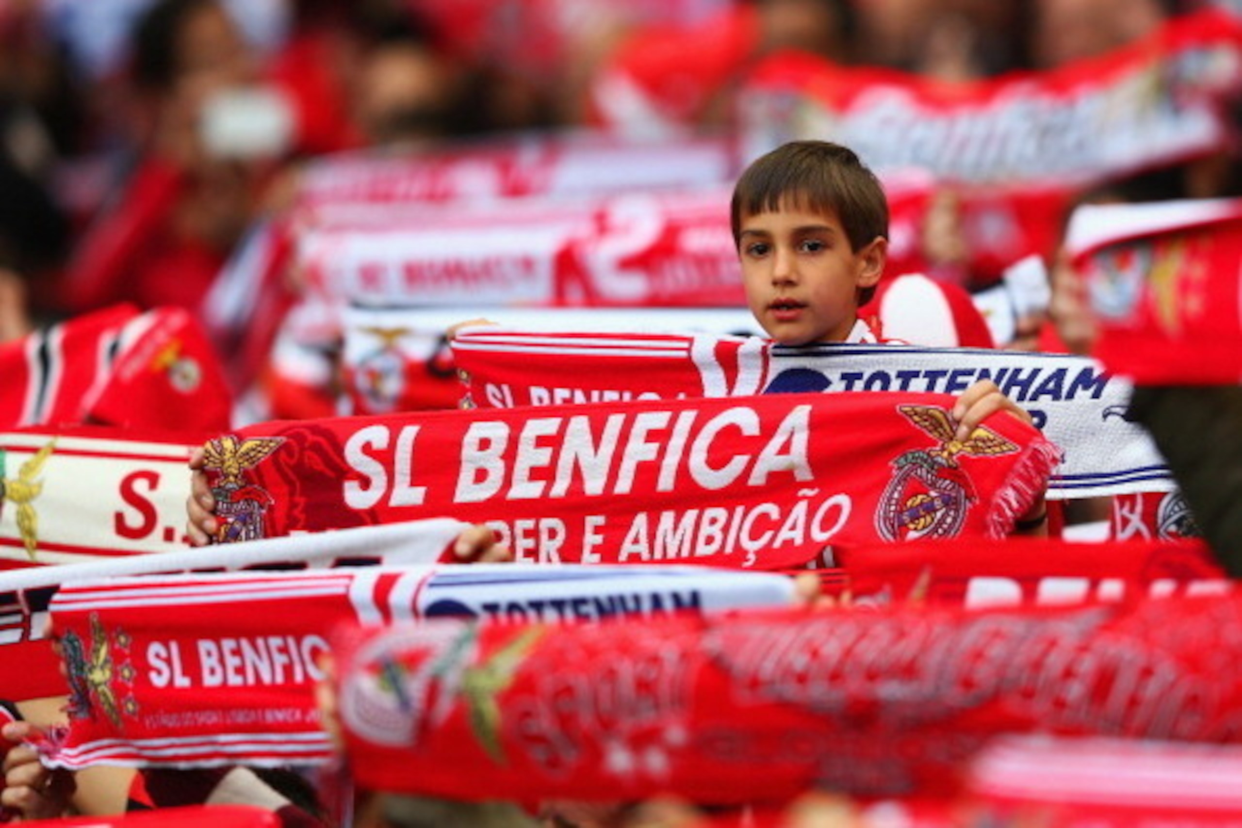 LISBON, PORTUGAL - MARCH 20: A young supporter of SL Benfica looks on amongst a forest of scarves during the UEFA Europa League Round of 16 2nd leg match between SL Benfica and Tottenham Hotspur at Estadio da Luz on March 20, 2014 in Lisbon, Portugal. (Ph
