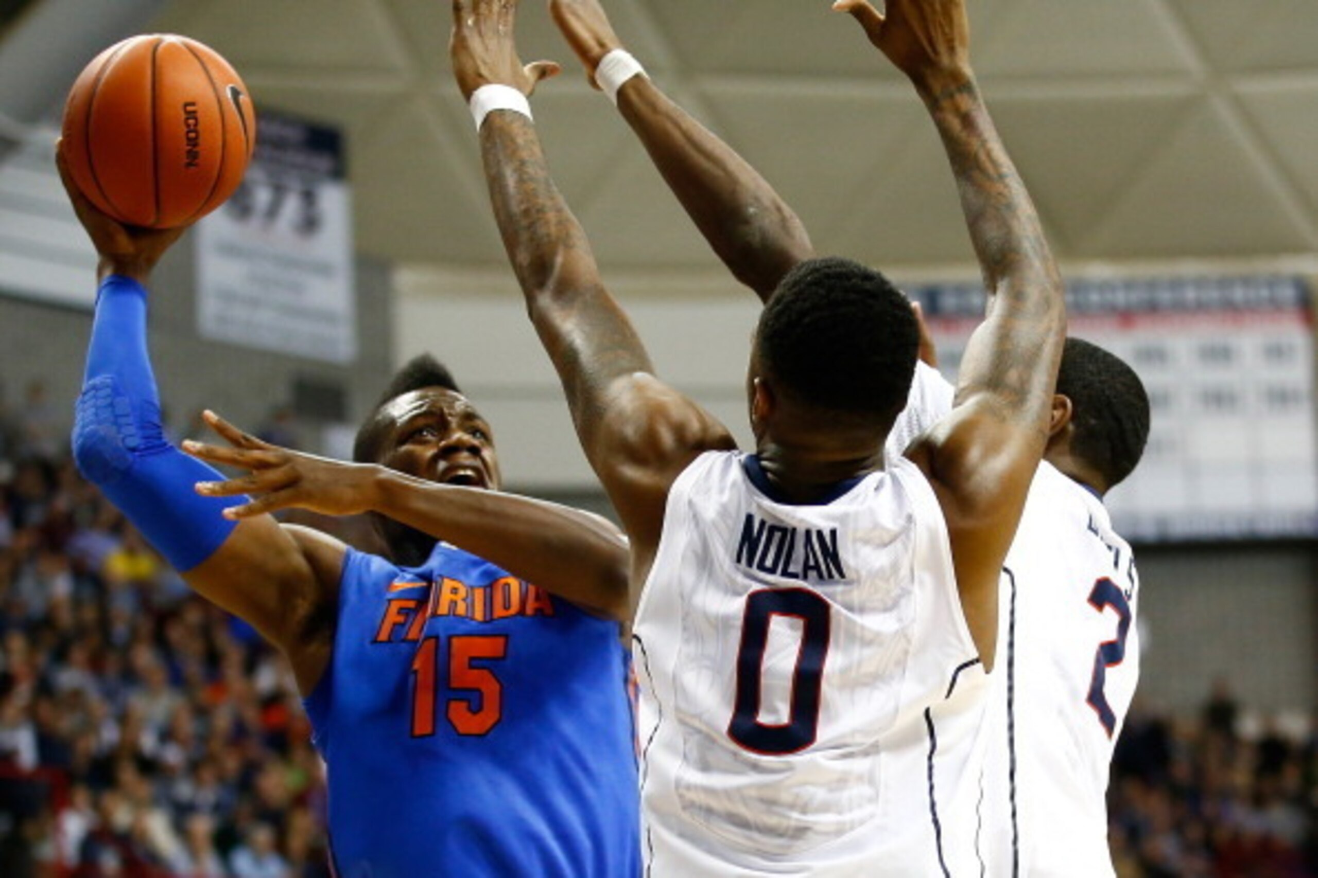 STORRS, CT - DECEMBER 02:  Will Yeguete #15 of the Florida Gators puts up a shot in front of Phillip Nolan #0 of the Connecticut Huskies in the first half during the game at Harry A. Gampel Pavilion on December 2, 2013 in Storrs, Connecticut.  (Photo by J