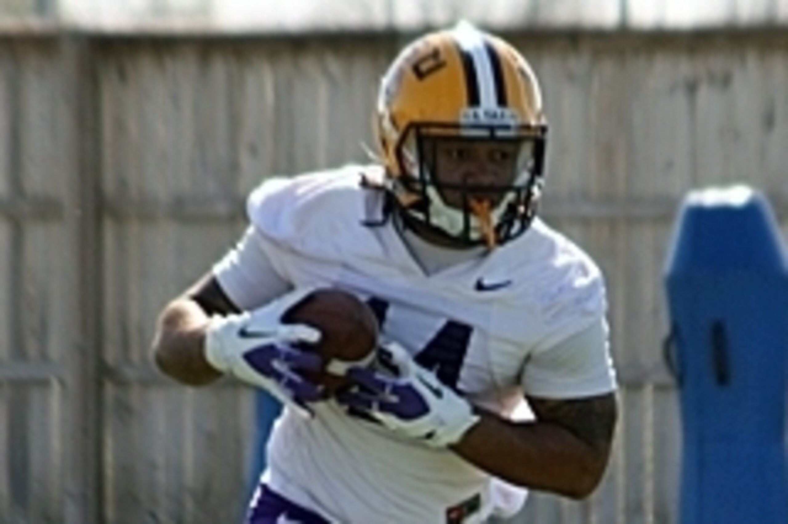 LSU running back Terrence Magee