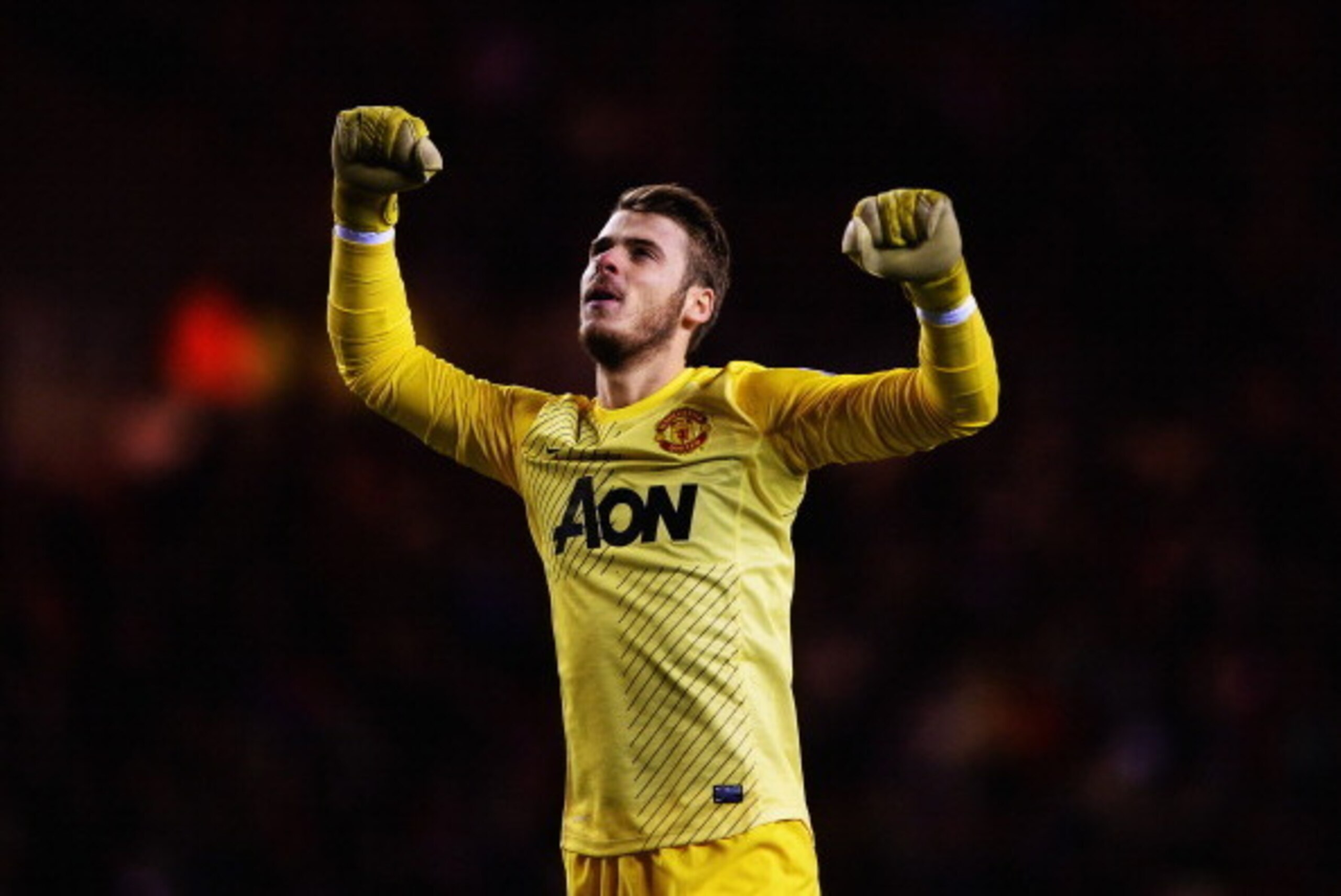 SUNDERLAND, ENGLAND - JANUARY 07:  David De Gea of Manchester United celebrates as Nemanja Vidic scores their first goal during the Capital One Cup Semi-Final, first leg match between Sunderland and Manchester United at Stadium of Light on January 7, 2014