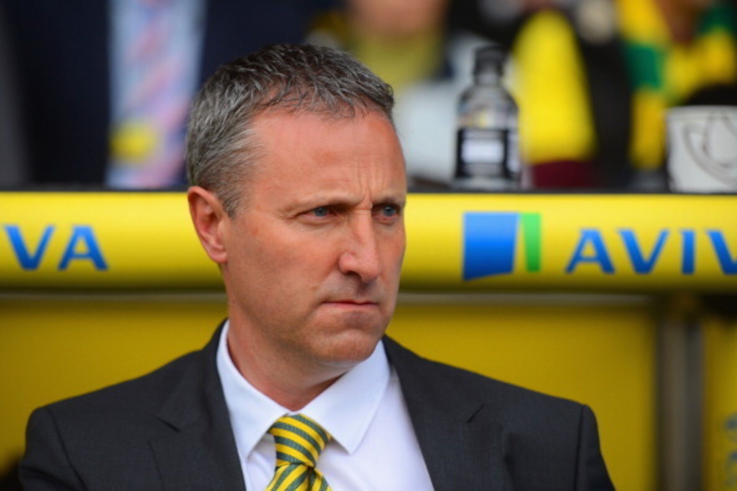 NORWICH, ENGLAND - APRIL 20: Neil Adams, manager of Norwich City looks on during the Barclays Premier League match between Norwich City and Liverpool at Carrow Road on April 20, 2014 in Norwich, England.  (Photo by Michael Regan/Getty Images)