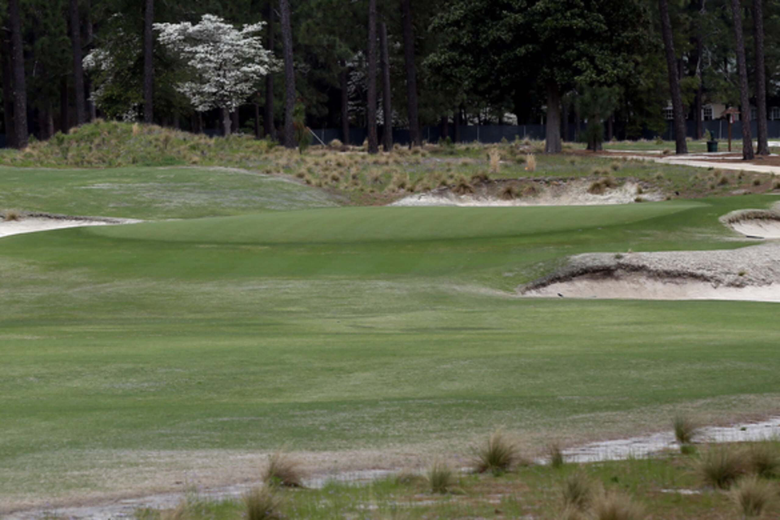 No-rough look and more natural looking hazards look will debut at U.S. Open.
