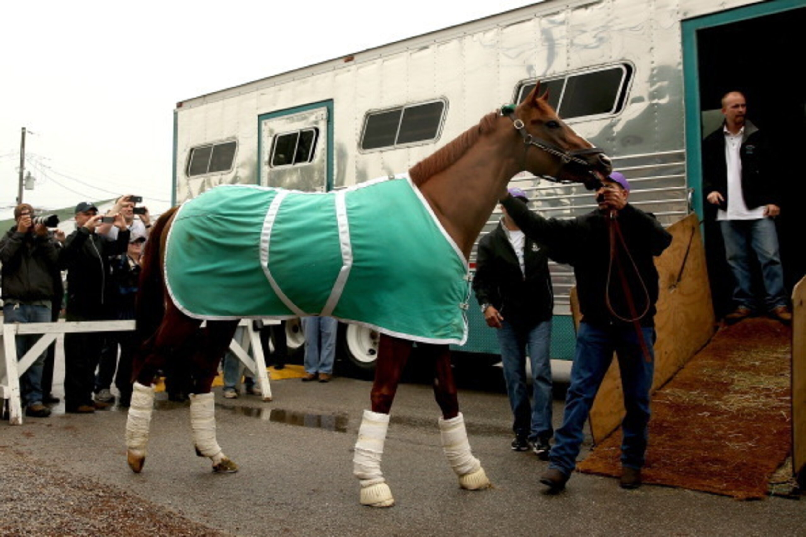 LOUISVILLE, KY - APRIL 28:  California Chrome arrives at track in preparation for the140th Kentucky Derby at Churchill Downs on April 28, 2014 in Louisville, Kentucky.  (Photo by Matthew Stockman/Getty Images)