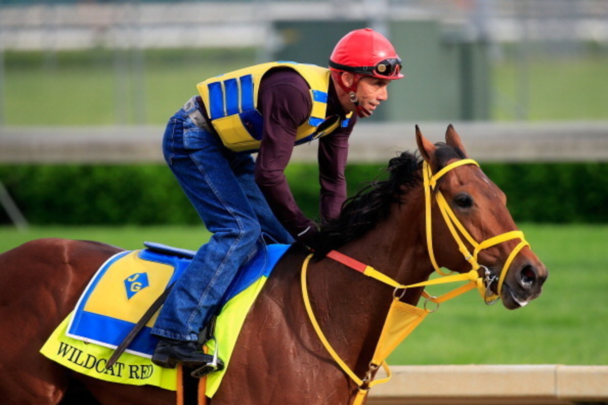 LOUISVILLE, KY - APRIL 29:  Wildcat Red is ridden by Juan Belmonte  during the morning exercise session in preparation for the140th Kentucky Derby at Churchill Downs on April 29, 2014 in Louisville, Kentucky.  (Photo by Rob Carr/Getty Images)