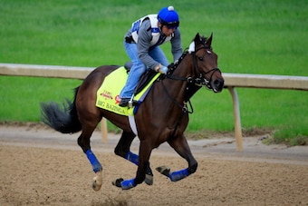 LOUISVILLE, KY - APRIL 30: Big Bazinga ridden by Loren Diego goes over the track during the morning exercise session in preparation for the 140th Kentucky Derby at Churchill Downs on April 30, 2014 in Louisville, Kentucky.  (Photo by Rob Carr/Getty Images