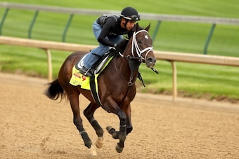 LOUISVILLE, KY - APRIL 25: Vicar's In Trouble is riden by Joel Barrientos during the morning exercise session in preparation for the 140th Kentucky Derby at Churchill Downs on April 25, 2014 in Louisville, Kentucky.  (Photo by Matthew Stockman/Getty Image