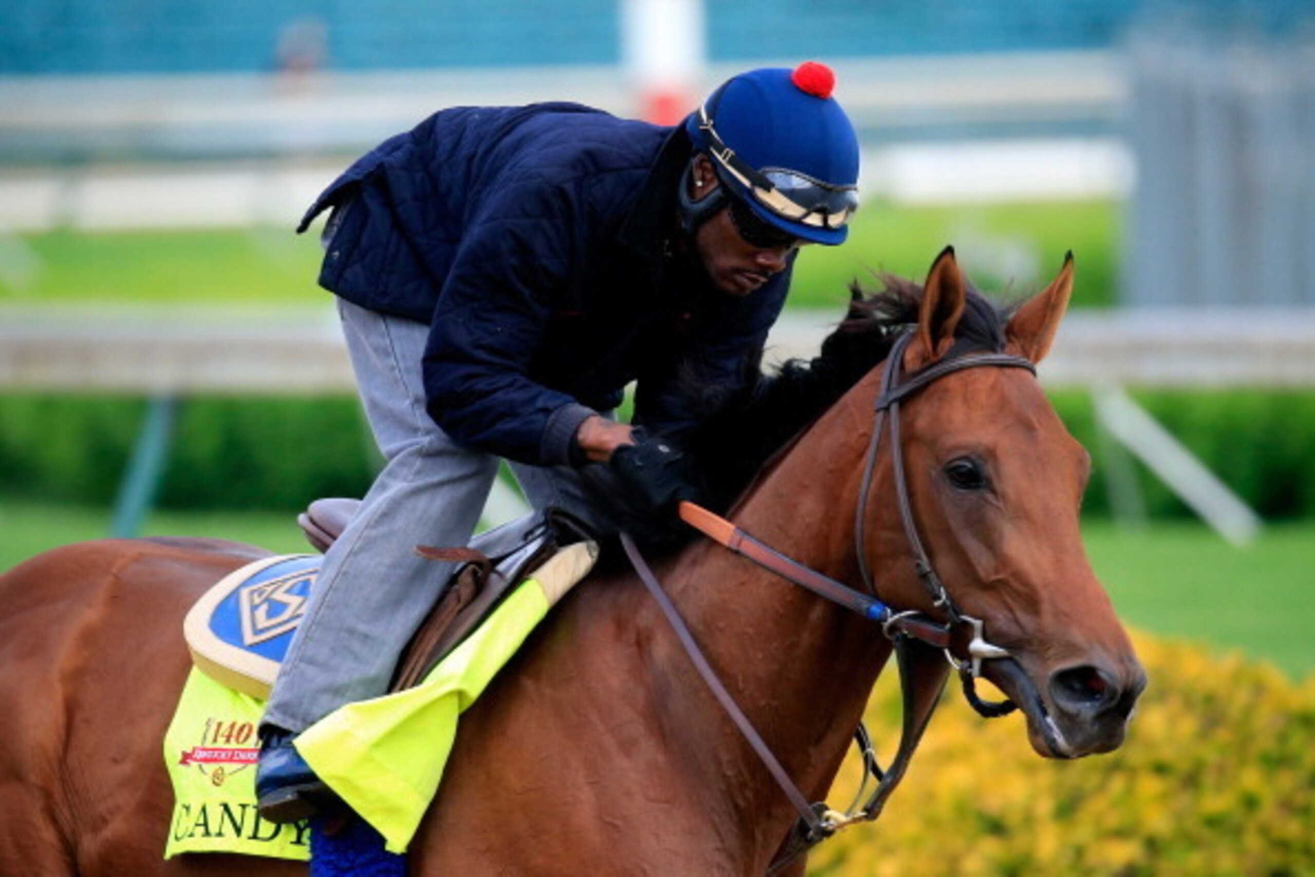 LOUISVILLE, KY - APRIL 29: Candy Boy is ridden by Jelani Grant during the morning exercise session in preparation for the140th Kentucky Derby at Churchill Downs on April 29, 2014 in Louisville, Kentucky.  (Photo by Rob Carr/Getty Images)