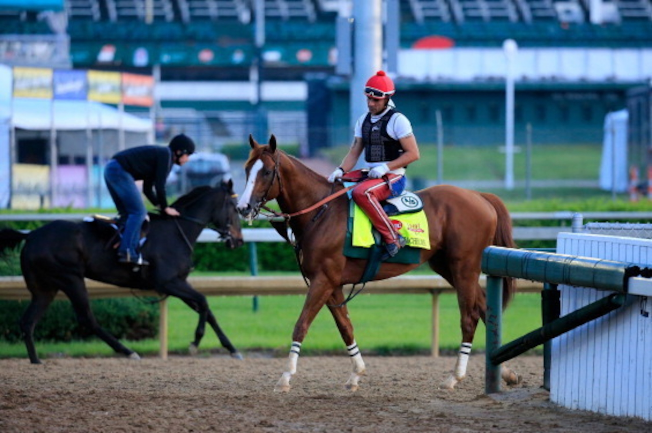 LOUISVILLE, KY - APRIL 30:  California Chrome ridden by William Delgado walks off the track following a morning exercise session in preparation for the 140th Kentucky Derby at Churchill Downs on April 30, 2014 in Louisville, Kentucky.  (Photo by Rob Carr/