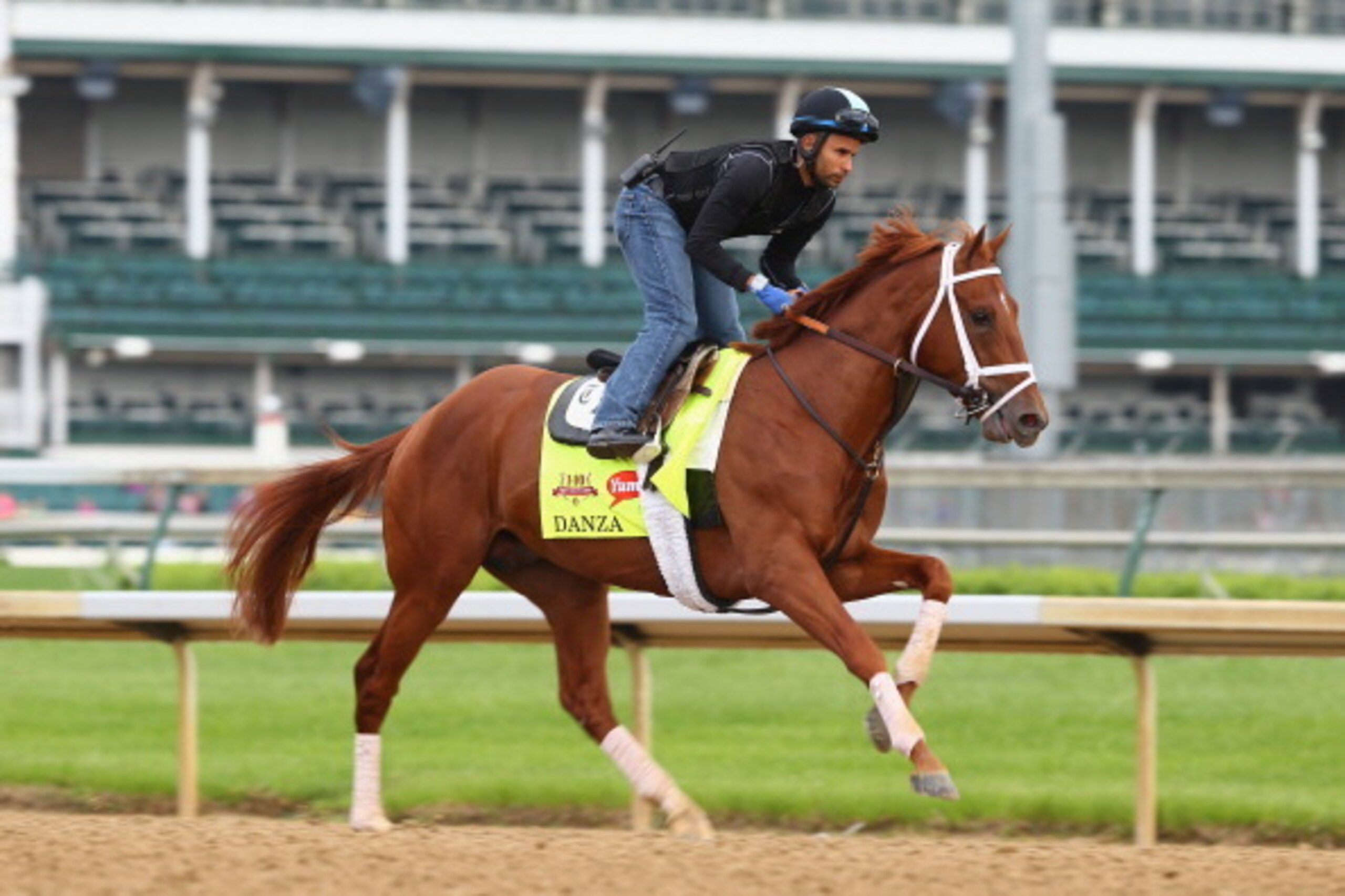 LOUISVILLE, KY - APRIL 30:  Danza runs on the track during the morning training for the Kentucky Derby at Churchill Downs on April 30, 2014 in Louisville, Kentucky.  (Photo by Andy Lyons/Getty Images)