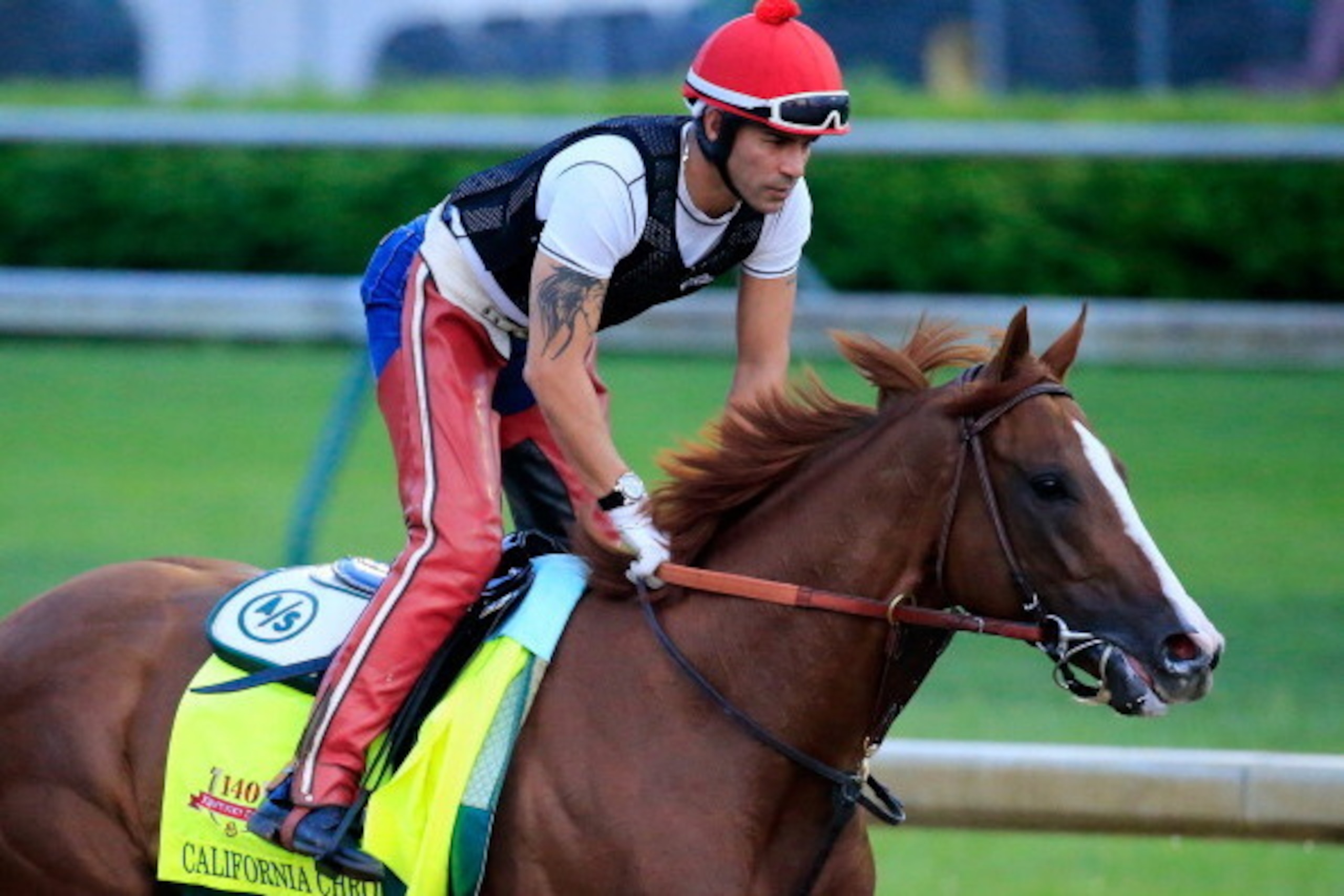 LOUISVILLE, KY - APRIL 30:  California Chrome ridden by William Delgado trains on the track during the morning exercise session in preparation for the 140th Kentucky Derby at Churchill Downs on April 30, 2014 in Louisville, Kentucky.  (Photo by Rob Carr/G