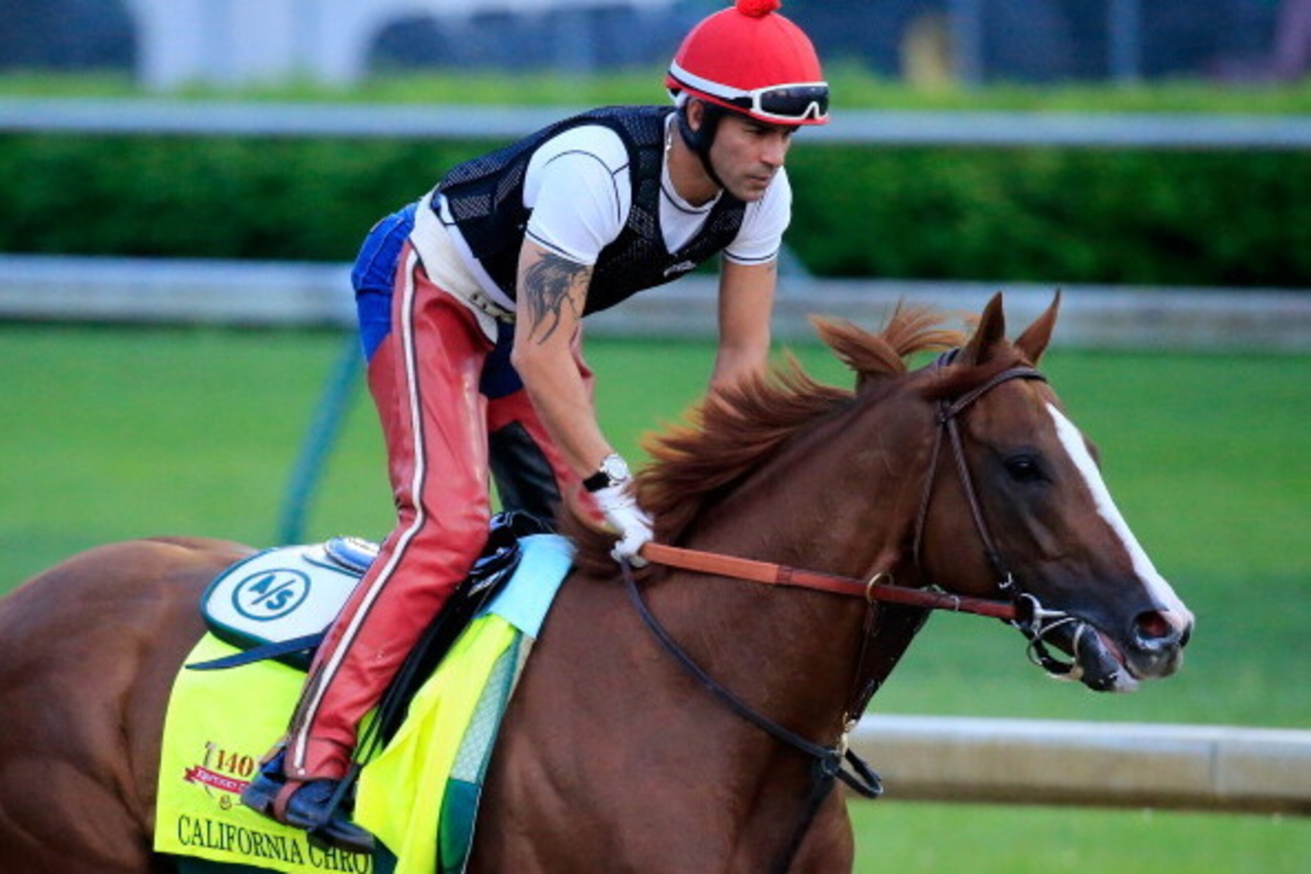 LOUISVILLE, KY - APRIL 30:  California Chrome ridden by William Delgado trains on the track during the morning exercise session in preparation for the 140th Kentucky Derby at Churchill Downs on April 30, 2014 in Louisville, Kentucky.  (Photo by Rob Carr/G
