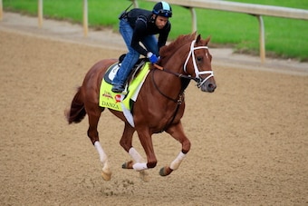LOUISVILLE, KY - APRIL 30:  Danza ridden by Ezequiel Perez goes over the track during the morning exercise session in preparation for the 140th Kentucky Derby at Churchill Downs on April 30, 2014 in Louisville, Kentucky.  (Photo by Rob Carr/Getty Images)