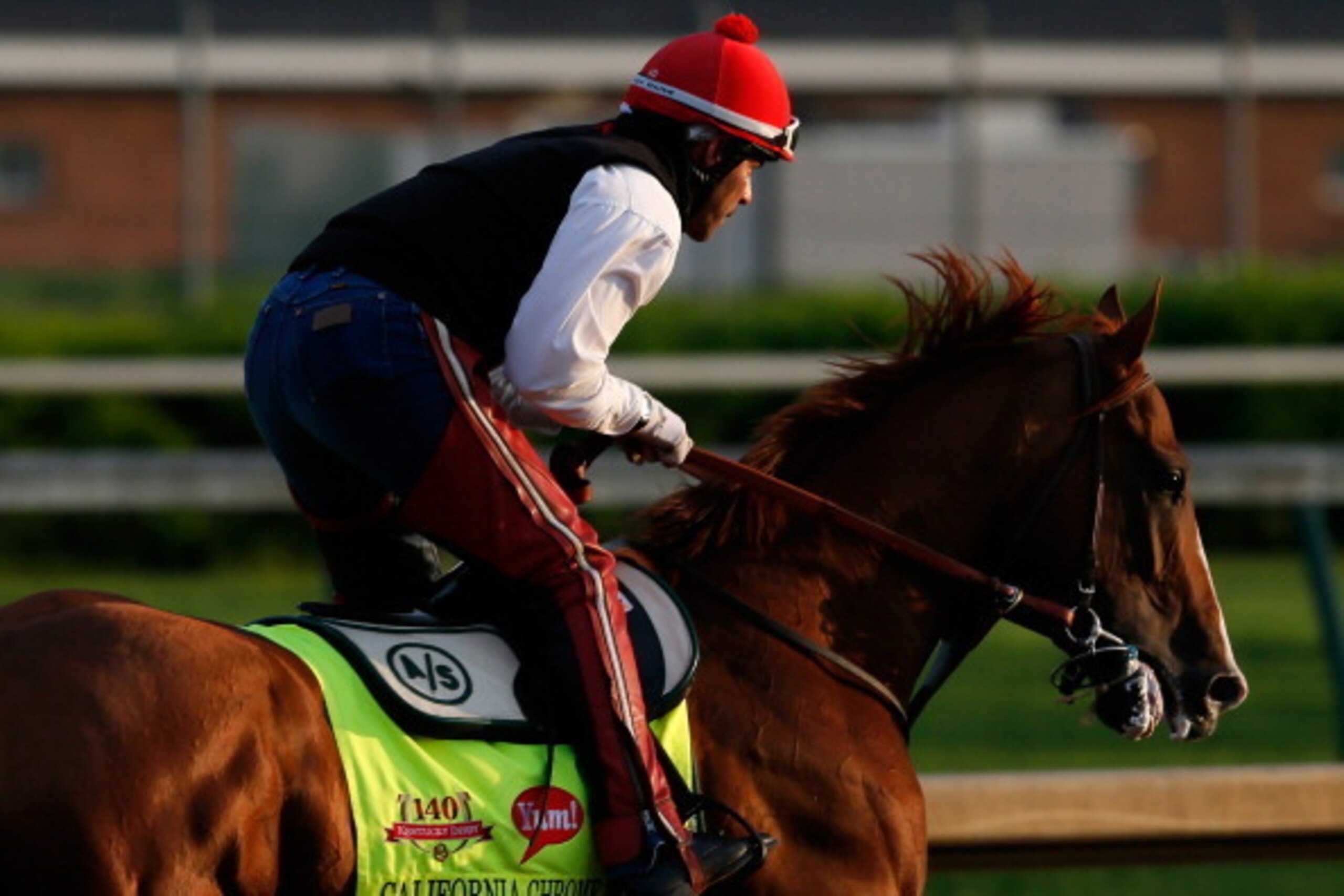 LOUISVILLE, KY - MAY 01:  Kentucky Derby contender California Chrome works during early morning workouts at Churchill Downs on May 1, 2014 in Louisville, Kentucky.  (Photo by Kevin C. Cox/Getty Images)