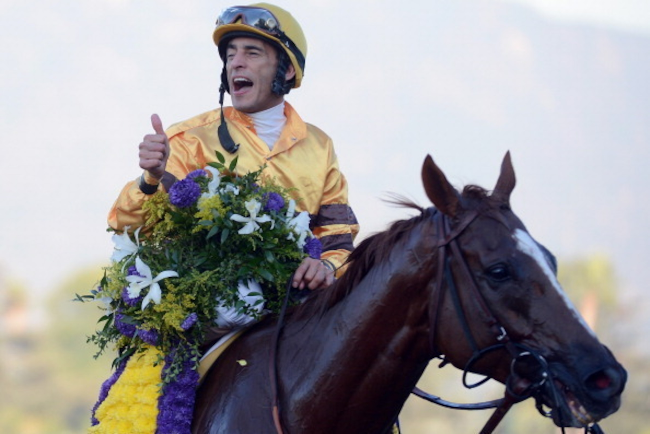 ARCADIA, CA - NOVEMBER 03:  John Velazquez reacts to his win riding Wise Dan to win the Breeders' Cup Mile at Santa Anita Park on November 3, 2012 in Arcadia, California.  (Photo by Harry How/Getty Images)