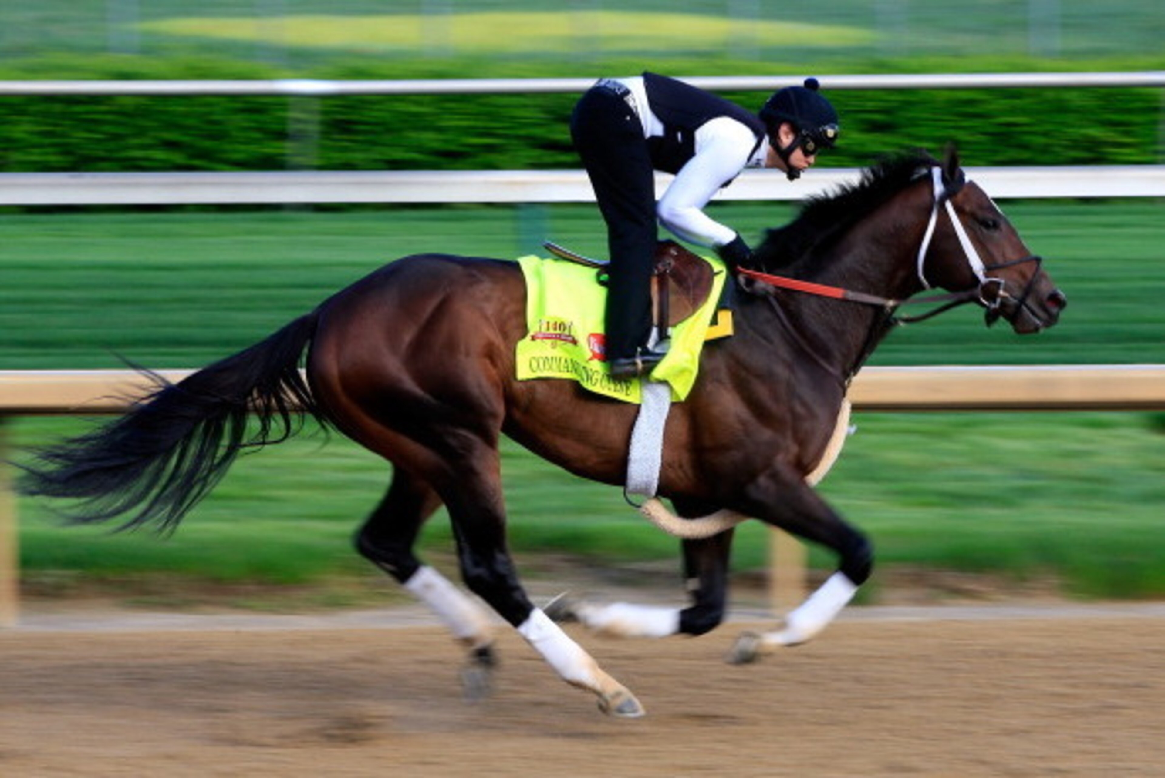 LOUISVILLE, KY - MAY 01:  Kentucky Derby contender Commanding Curve works out on the track during early morning workouts at Churchill Downs on May 1, 2014 in Louisville, Kentucky.  (Photo by Jamie Squire/Getty Images)