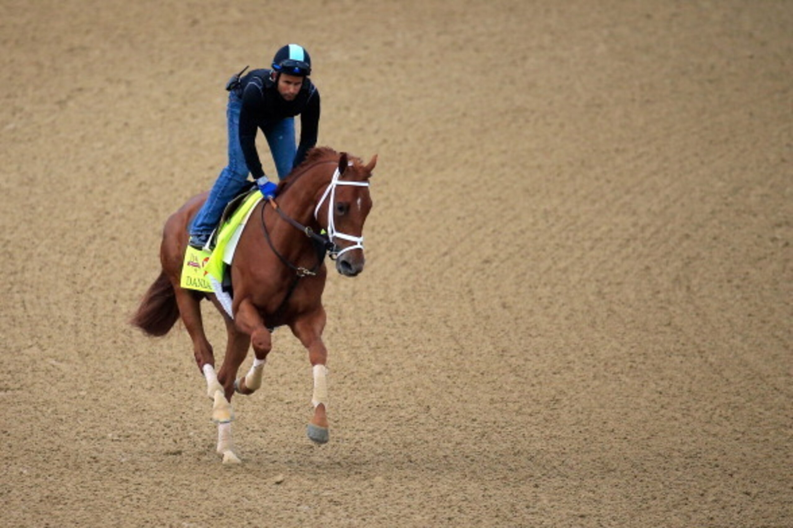 LOUISVILLE, KY - APRIL 30:  Danza ridden by Ezequiel Perez goes over the track during the morning exercise session in preparation for the 140th Kentucky Derby at Churchill Downs on April 30, 2014 in Louisville, Kentucky.  (Photo by Rob Carr/Getty Images)
