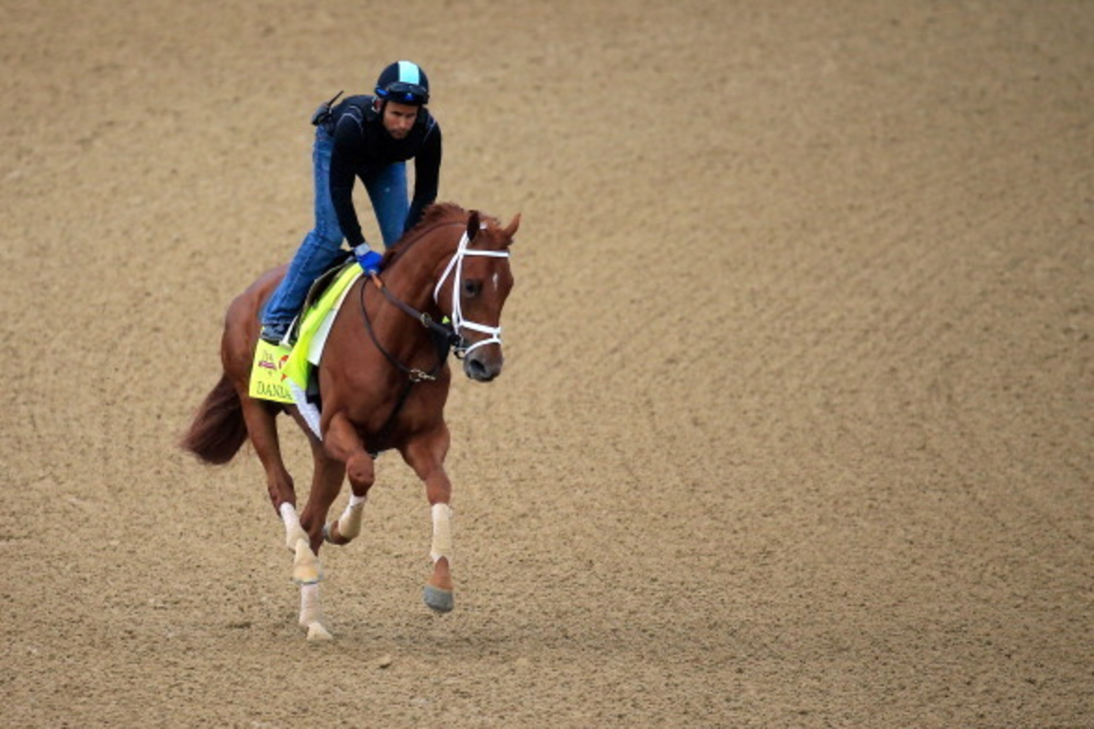LOUISVILLE, KY - APRIL 30:  Danza ridden by Ezequiel Perez goes over the track during the morning exercise session in preparation for the 140th Kentucky Derby at Churchill Downs on April 30, 2014 in Louisville, Kentucky.  (Photo by Rob Carr/Getty Images)