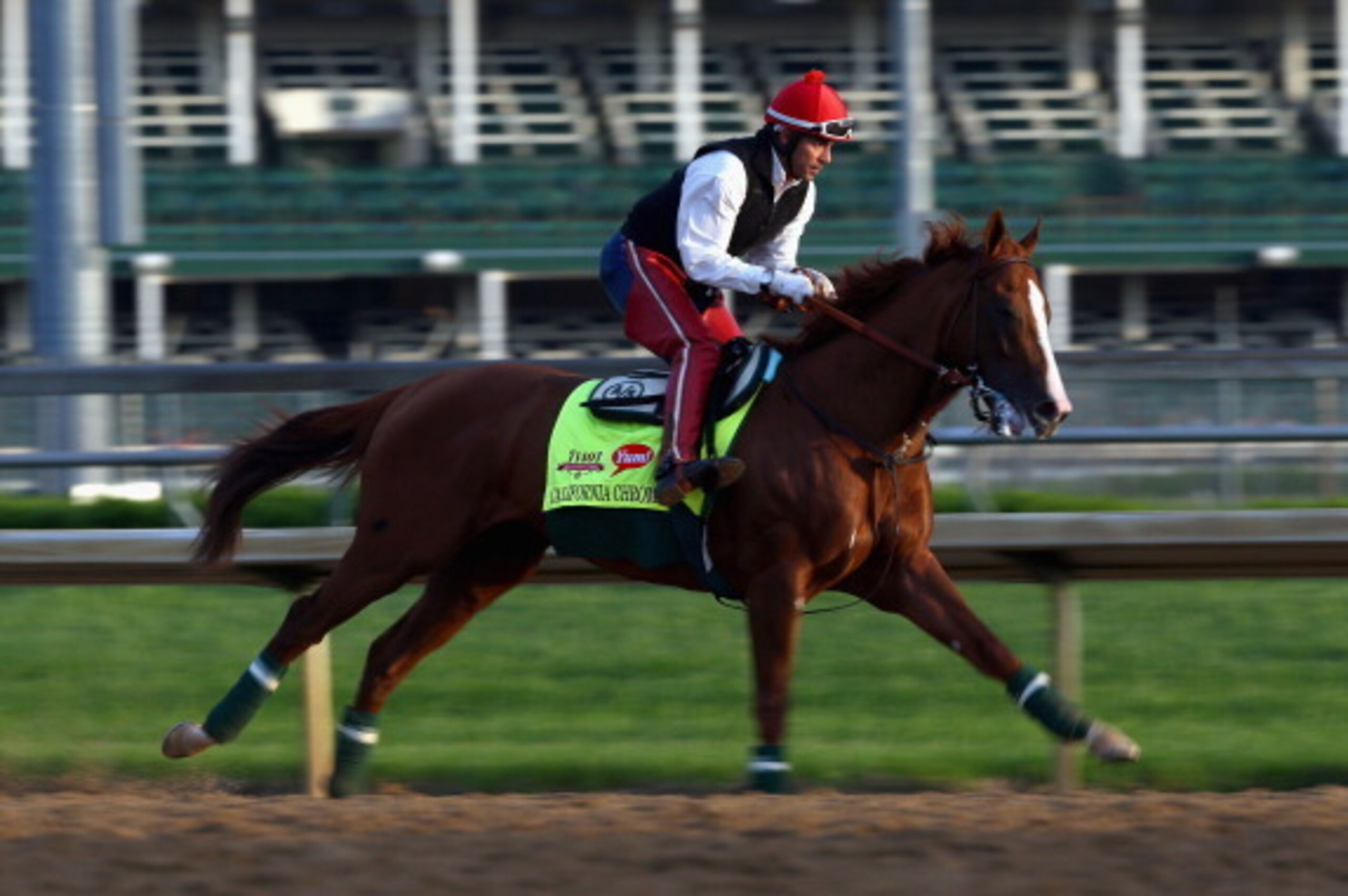 LOUISVILLE, KY - MAY 01:  California Chrome runs on the track during the morning training for the Kentucky Derby at Churchill Downs on May 1, 2014 in Louisville, Kentucky.  (Photo by Andy Lyons/Getty Images)