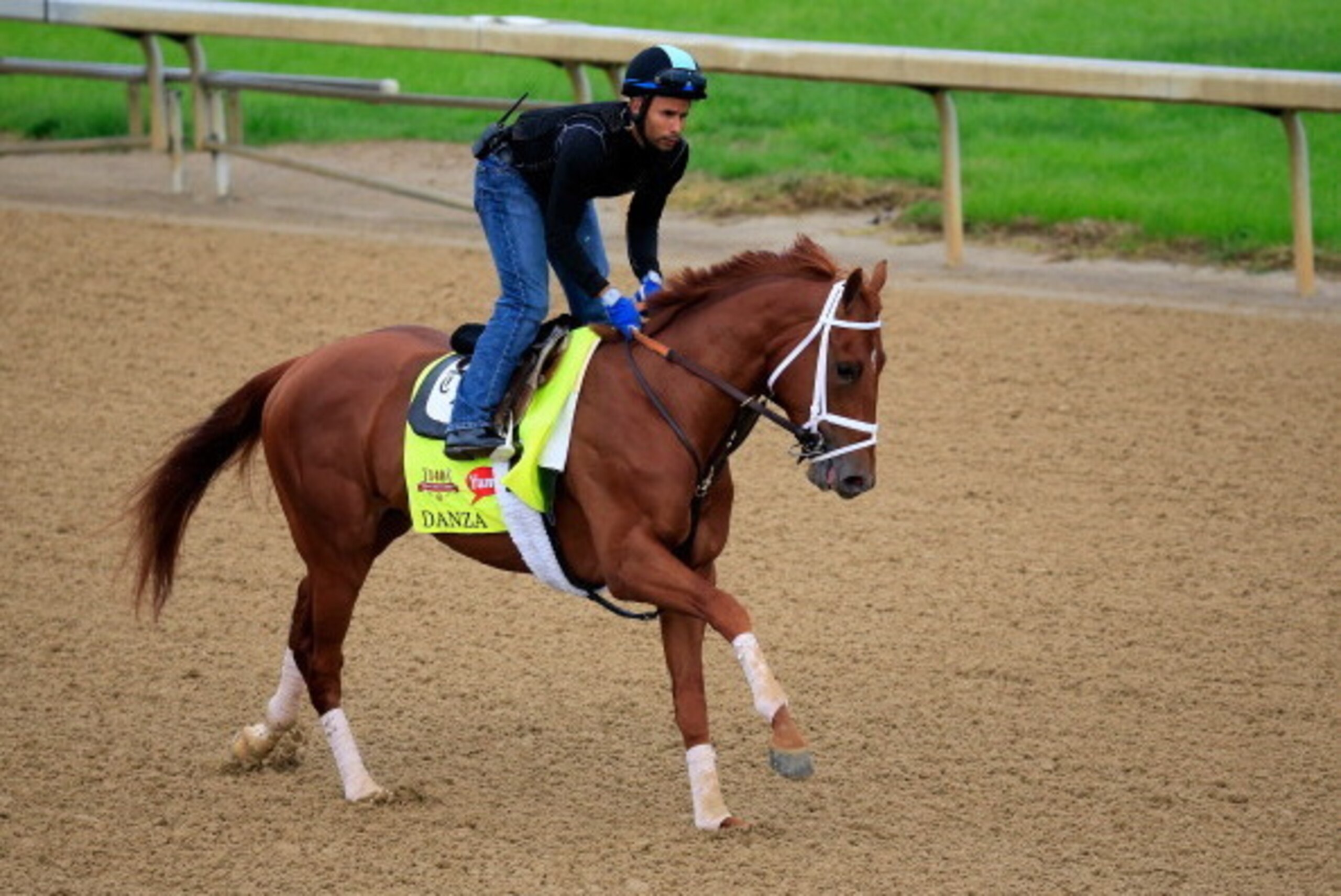 LOUISVILLE, KY - APRIL 30:  Danza ridden by Ezequiel Perez goes over the track during the morning exercise session in preparation for the 140th Kentucky Derby at Churchill Downs on April 30, 2014 in Louisville, Kentucky.  (Photo by Rob Carr/Getty Images)