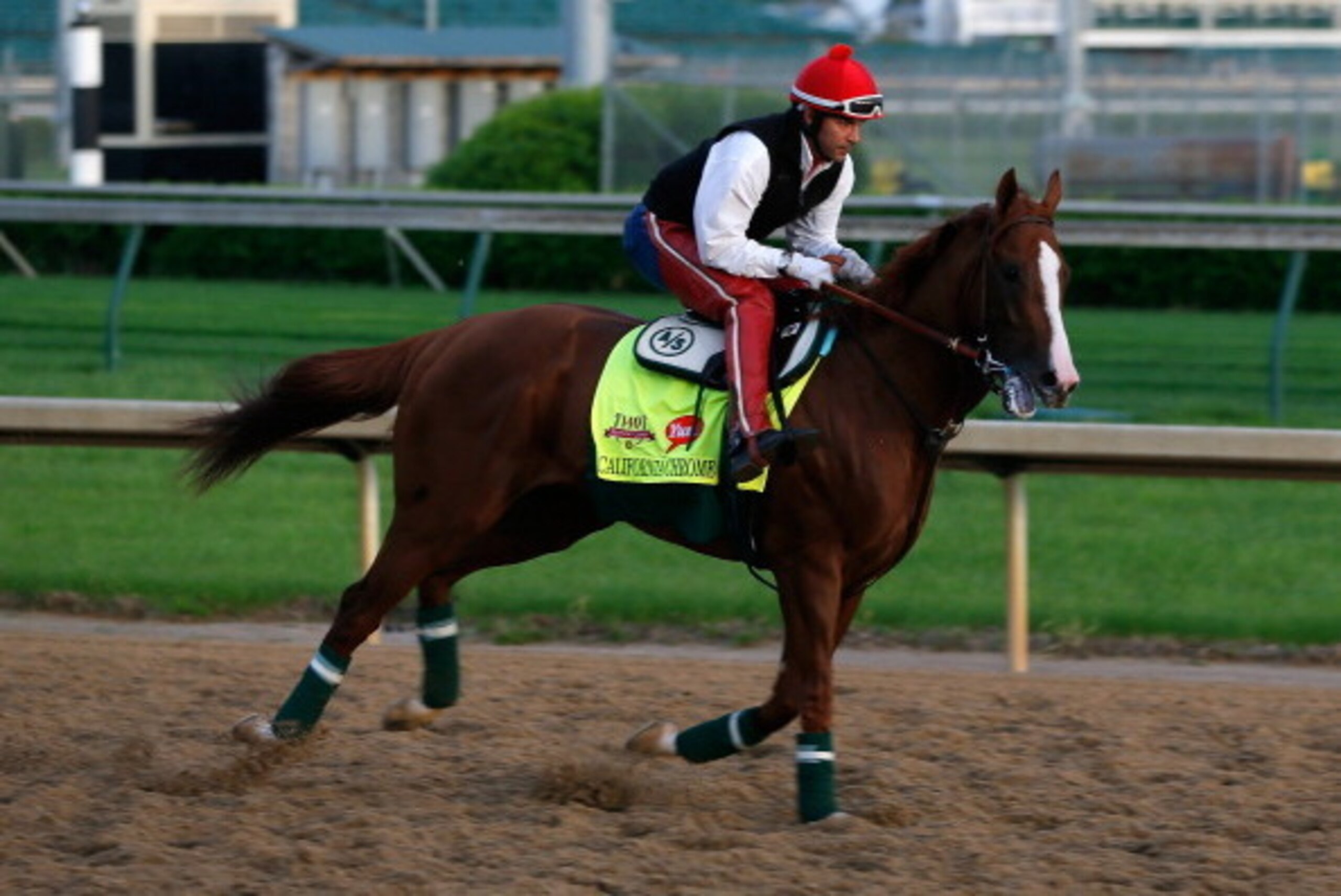 LOUISVILLE, KY - MAY 01:  Kentucky Derby contender California Chrome works during early morning workouts at Churchill Downs on May 1, 2014 in Louisville, Kentucky.  (Photo by Kevin C. Cox/Getty Images)