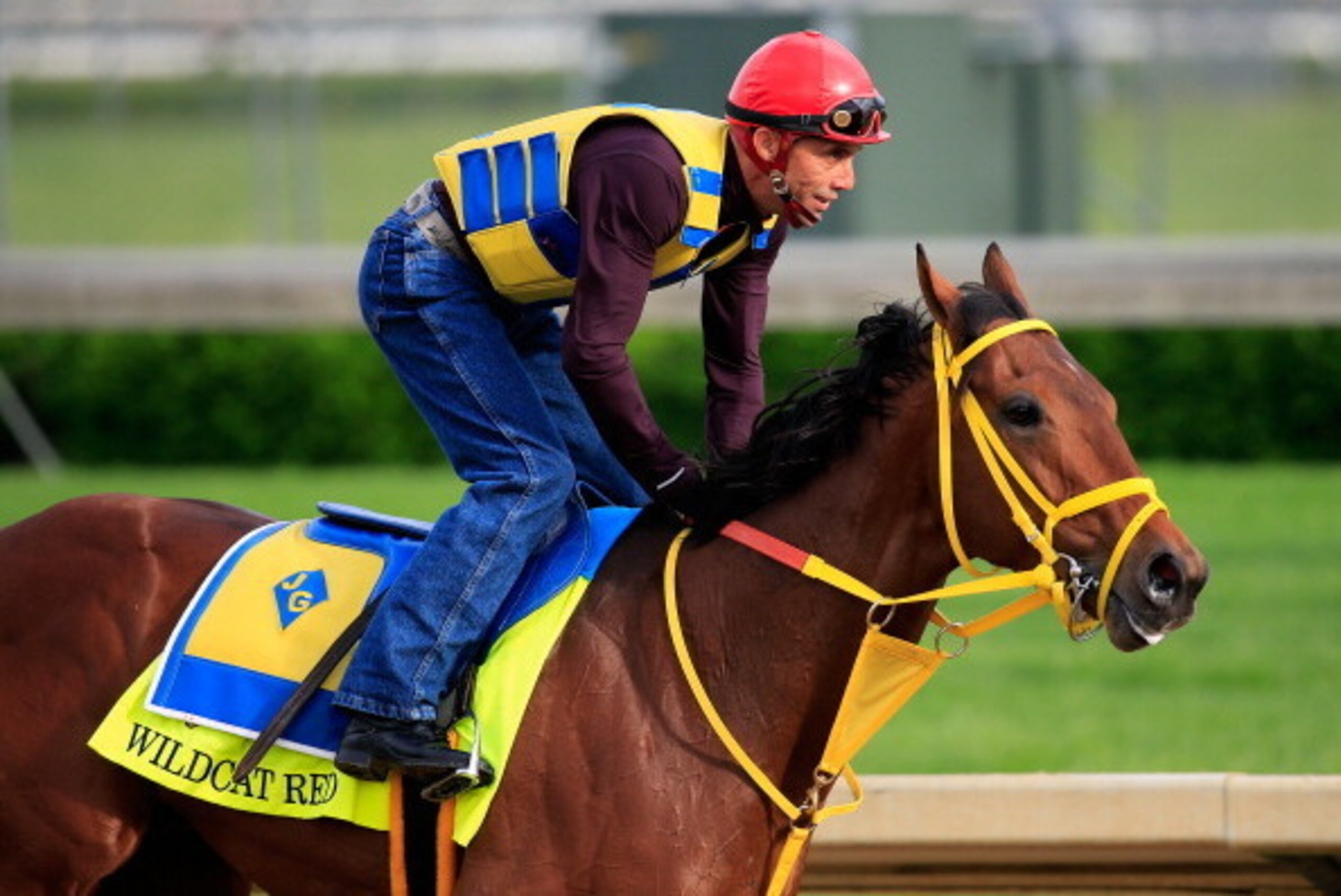 LOUISVILLE, KY - APRIL 29: Wildcat Red is ridden by Juan Belmonte during the morning exercise session in preparation for the140th Kentucky Derby at Churchill Downs on April 29, 2014 in Louisville, Kentucky. (Photo by Rob Carr/Getty Images) LOUISVILLE, KY - APRIL 29: Wildcat Red is ridden by Juan Belmonte during the morning exercise session in preparation for the140th Kentucky Derby at Churchill Downs on April 29, 2014 in Louisville, Kentucky. (Photo by Rob Carr/Getty Images)