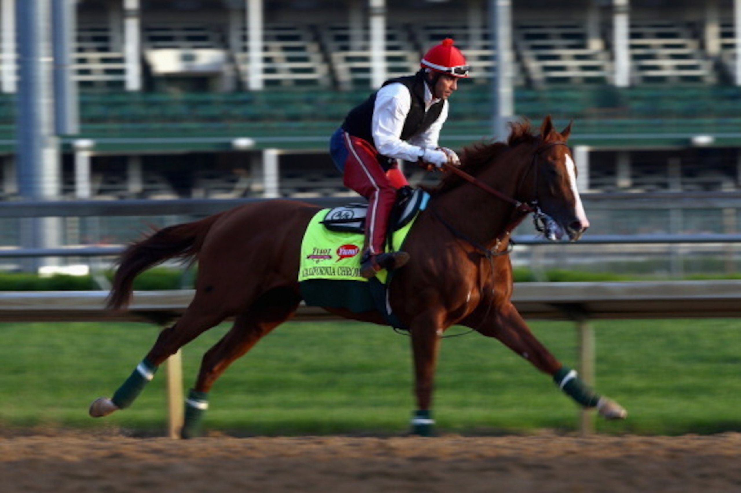 LOUISVILLE, KY - MAY 01:  California Chrome runs on the track during the morning training for the Kentucky Derby at Churchill Downs on May 1, 2014 in Louisville, Kentucky.  (Photo by Andy Lyons/Getty Images)