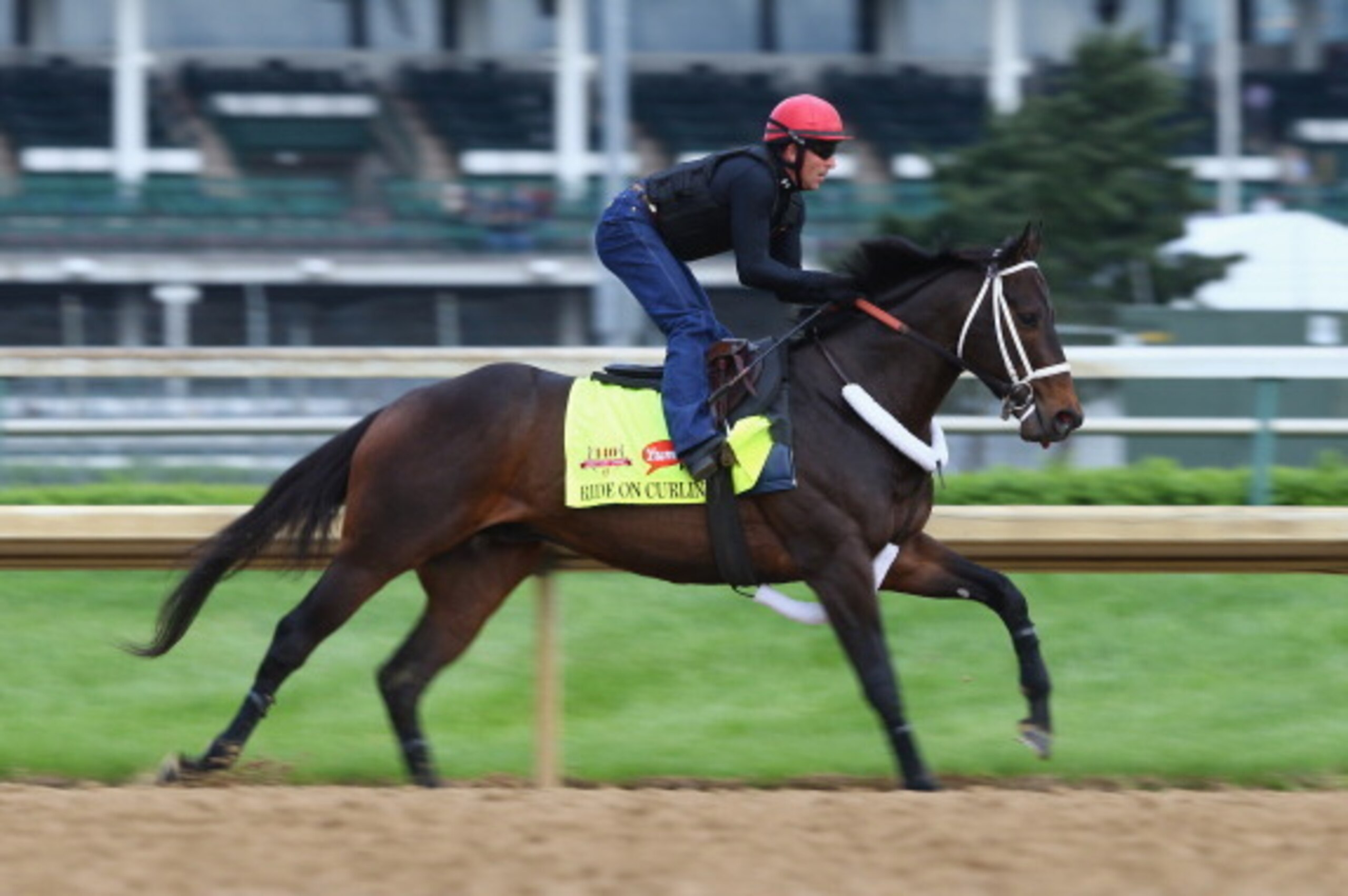 LOUISVILLE, KY - APRIL 30:  Ride On Curlin runs on the track during the morning training for the Kentucky Derby at Churchill Downs on April 30, 2014 in Louisville, Kentucky.  (Photo by Andy Lyons/Getty Images)